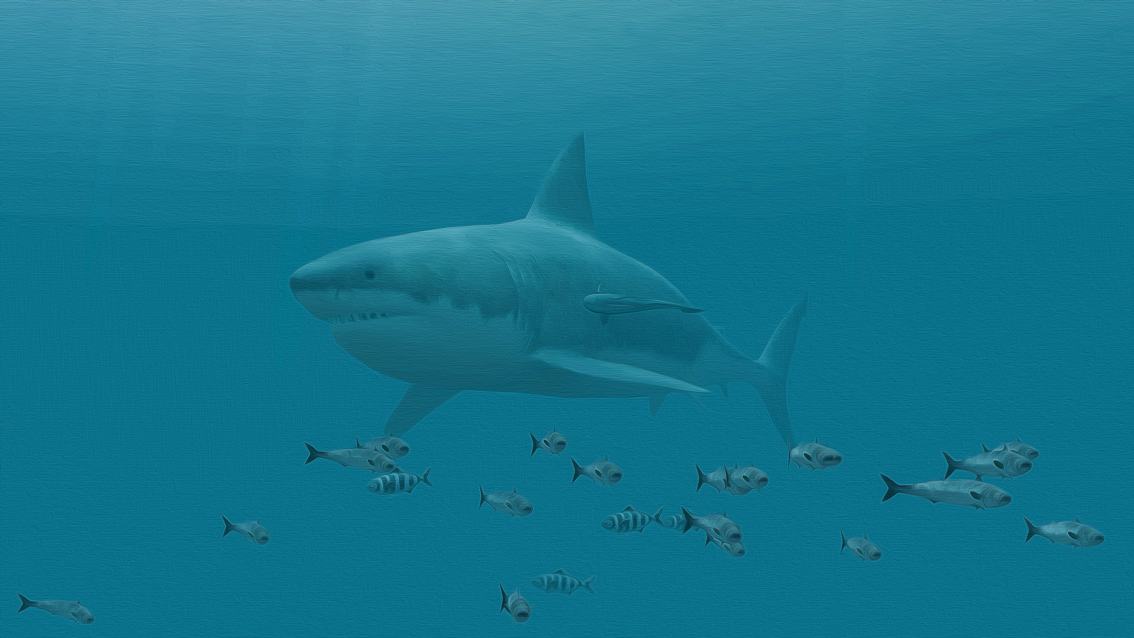 435704 descargar imagen animales, gran tiburón blanco, pez, tiburón, submarina, tiburones: fondos de pantalla y protectores de pantalla gratis