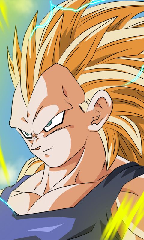 Download mobile wallpaper Anime, Dragon Ball Z, Dragon Ball, Vegeta (Dragon Ball) for free.