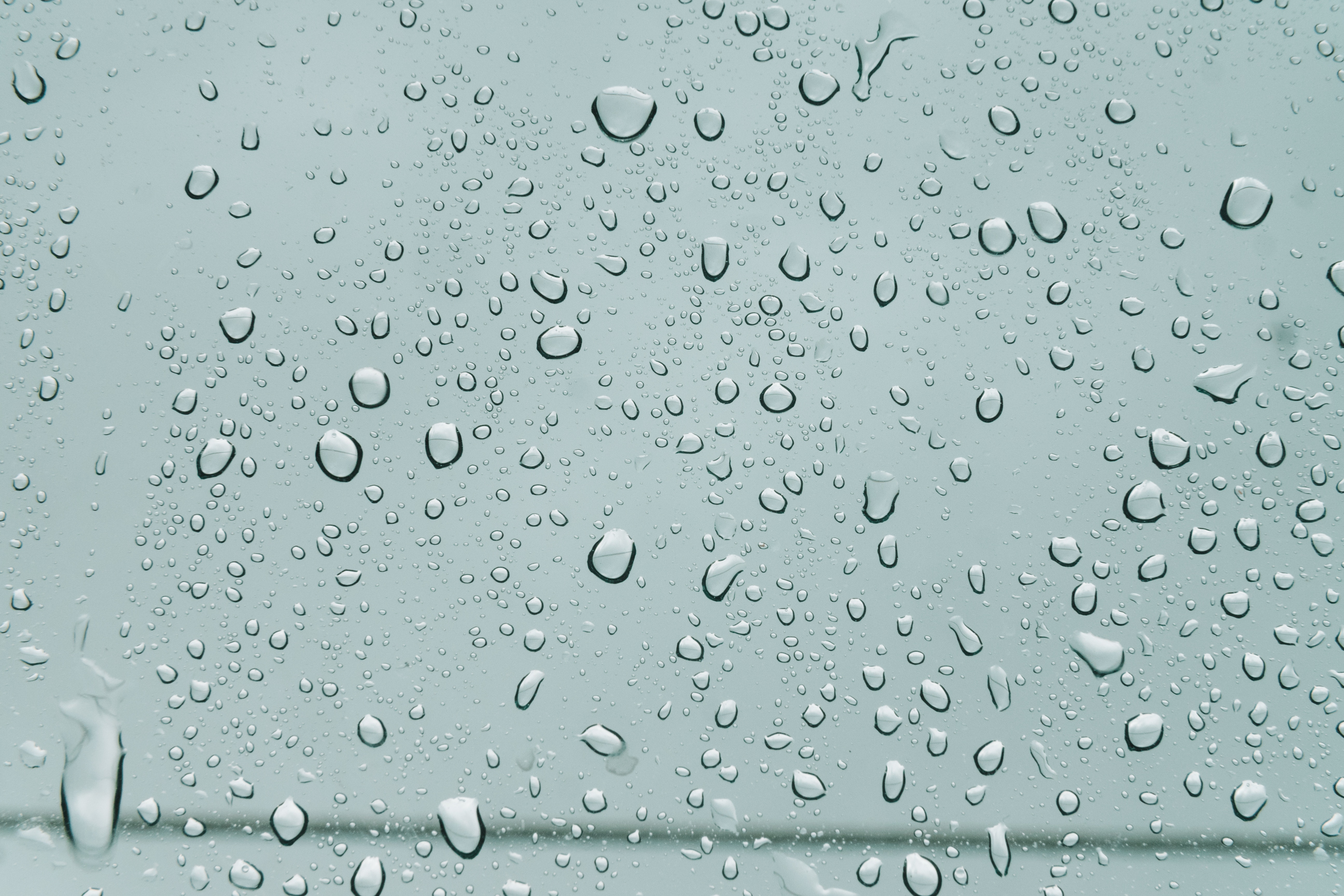 forms, rain, drops, macro, wet, surface, moisture, form, humid