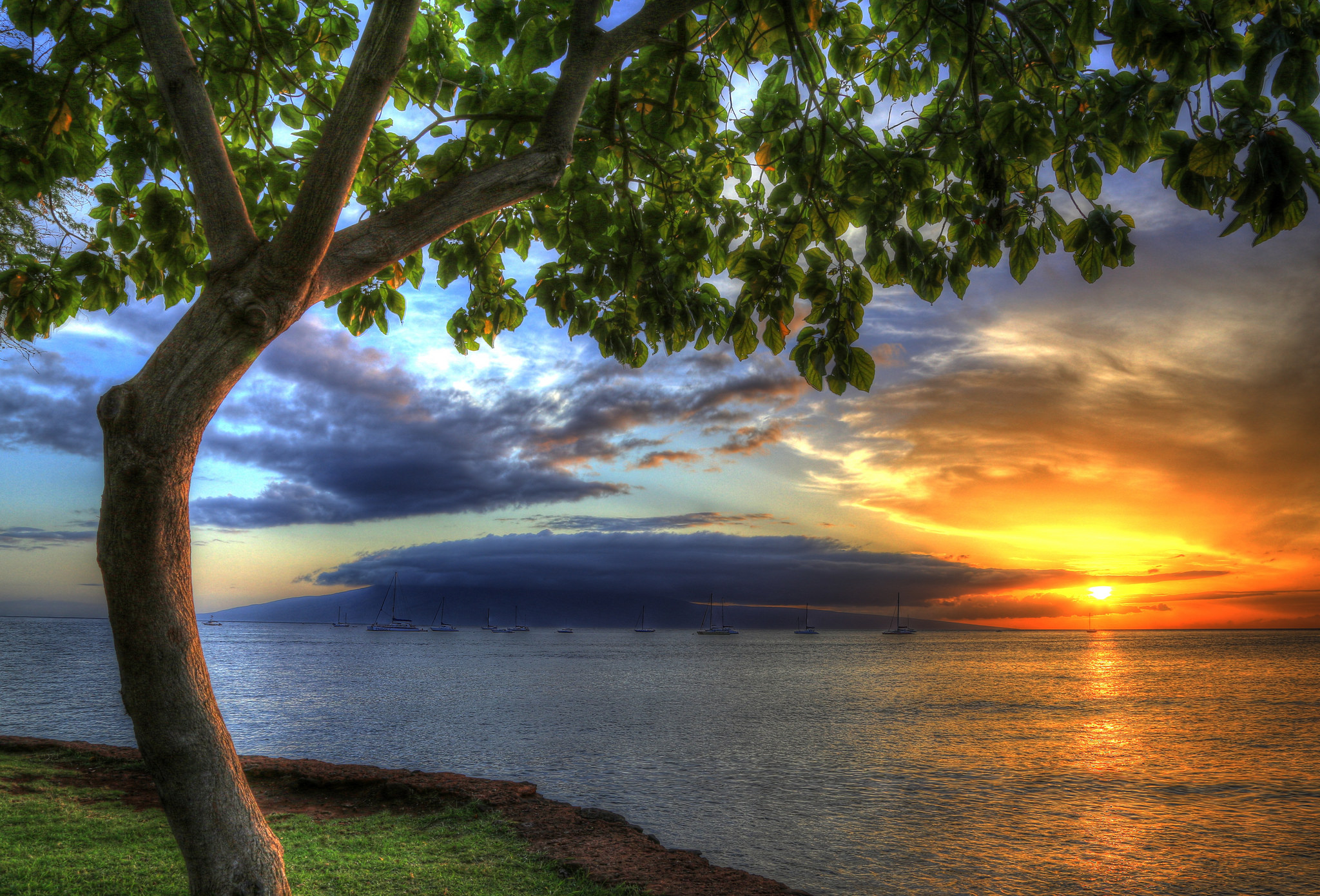 Download mobile wallpaper Sunset, Lake, Tree, Earth, Hdr, Photography for free.