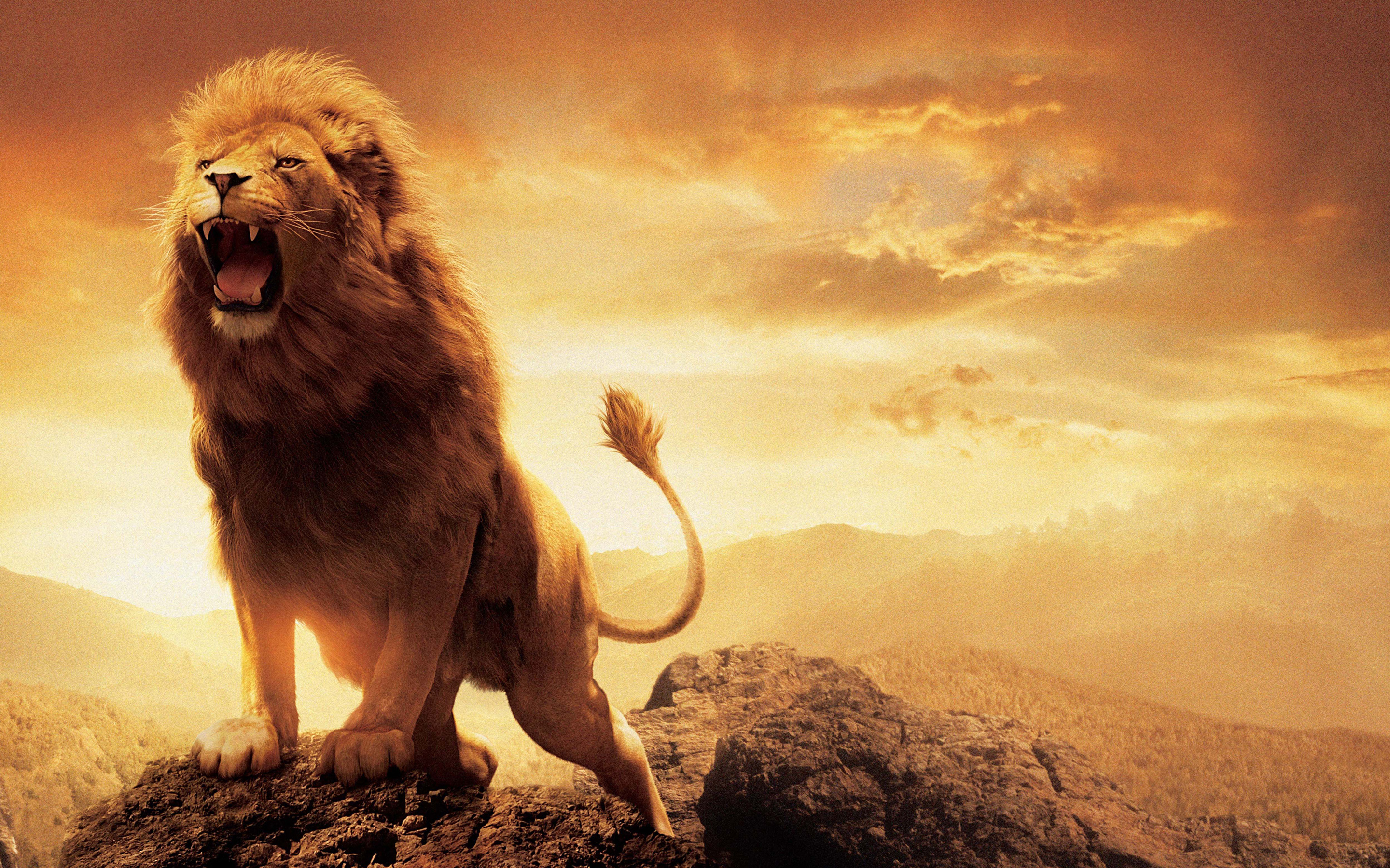 Los mejores fondos de pantalla de Las Crónicas De Narnia: El León La Bruja Y El Armario para la pantalla del teléfono