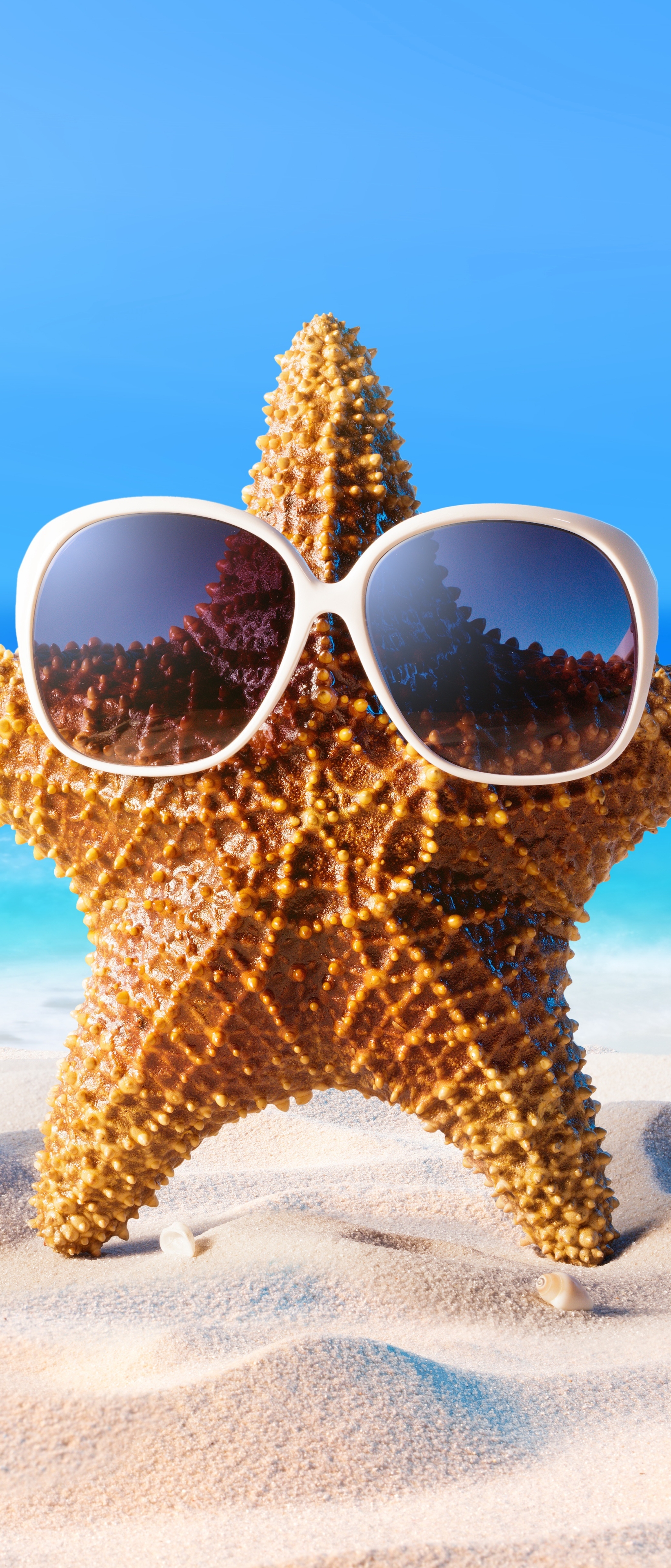 Download mobile wallpaper Summer, Starfish, Artistic, Sunglasses for free.