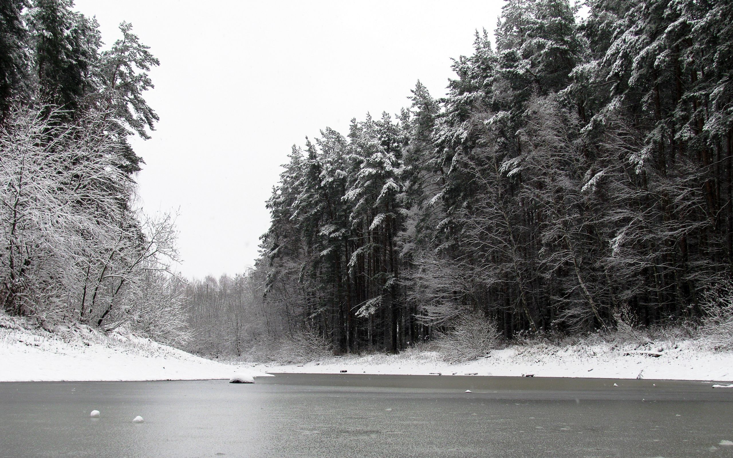 Скачать картинку Лед, Снег, Деревья, Река, Зима, Природа, Чб в телефон бесплатно.