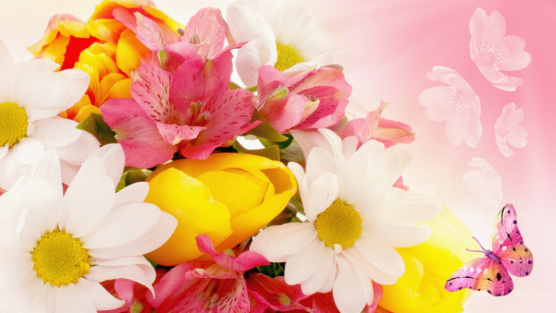 Téléchargez gratuitement l'image Fleurs, Fleur, Papillon, Lys, Artistique, Tulipe, Marguerite, Fleur Jaune, Fleur Blanche, Image De Synthèse, Fleur Rose sur le bureau de votre PC