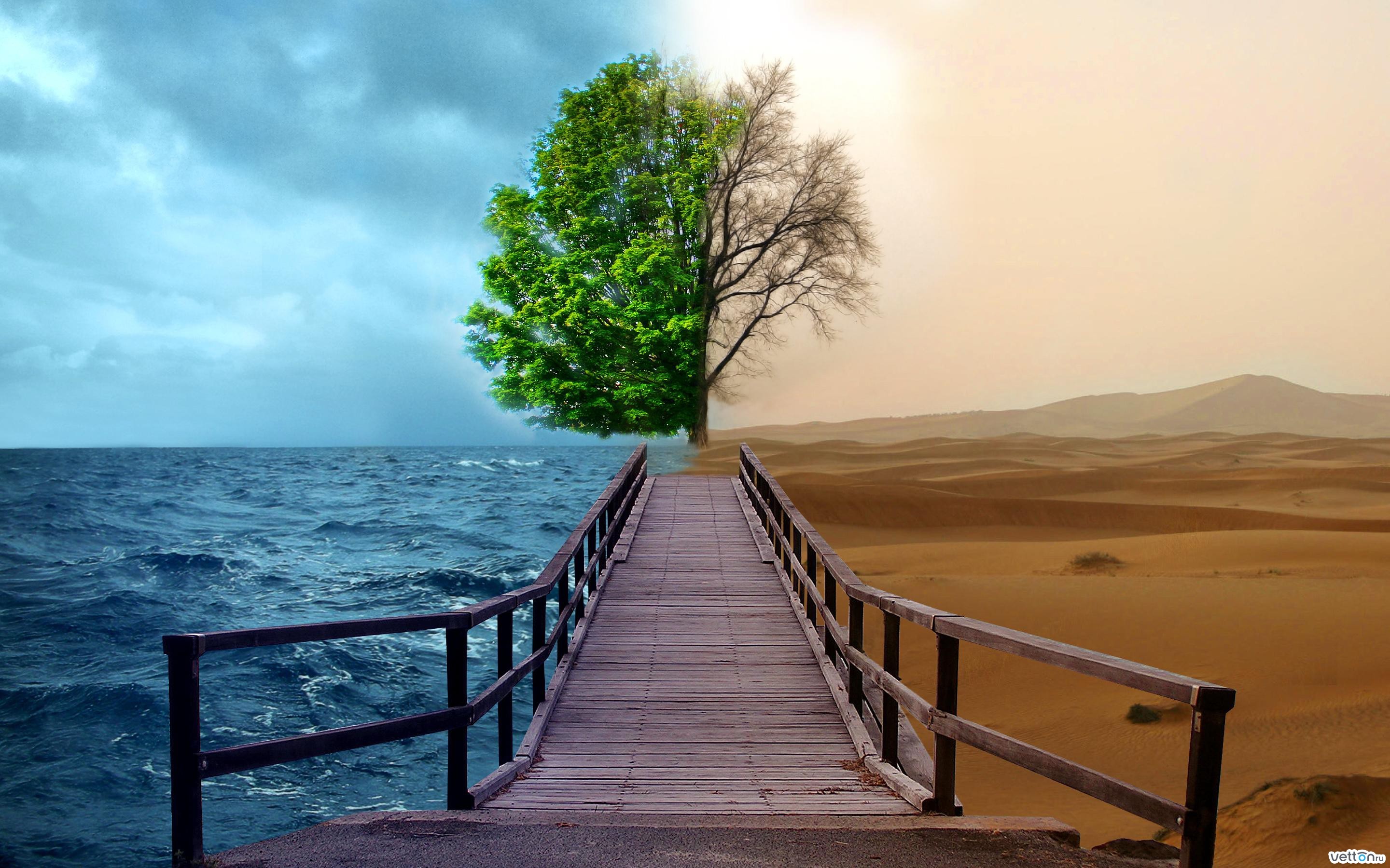 Download mobile wallpaper Landscape, Trees, Desert, Sea for free.