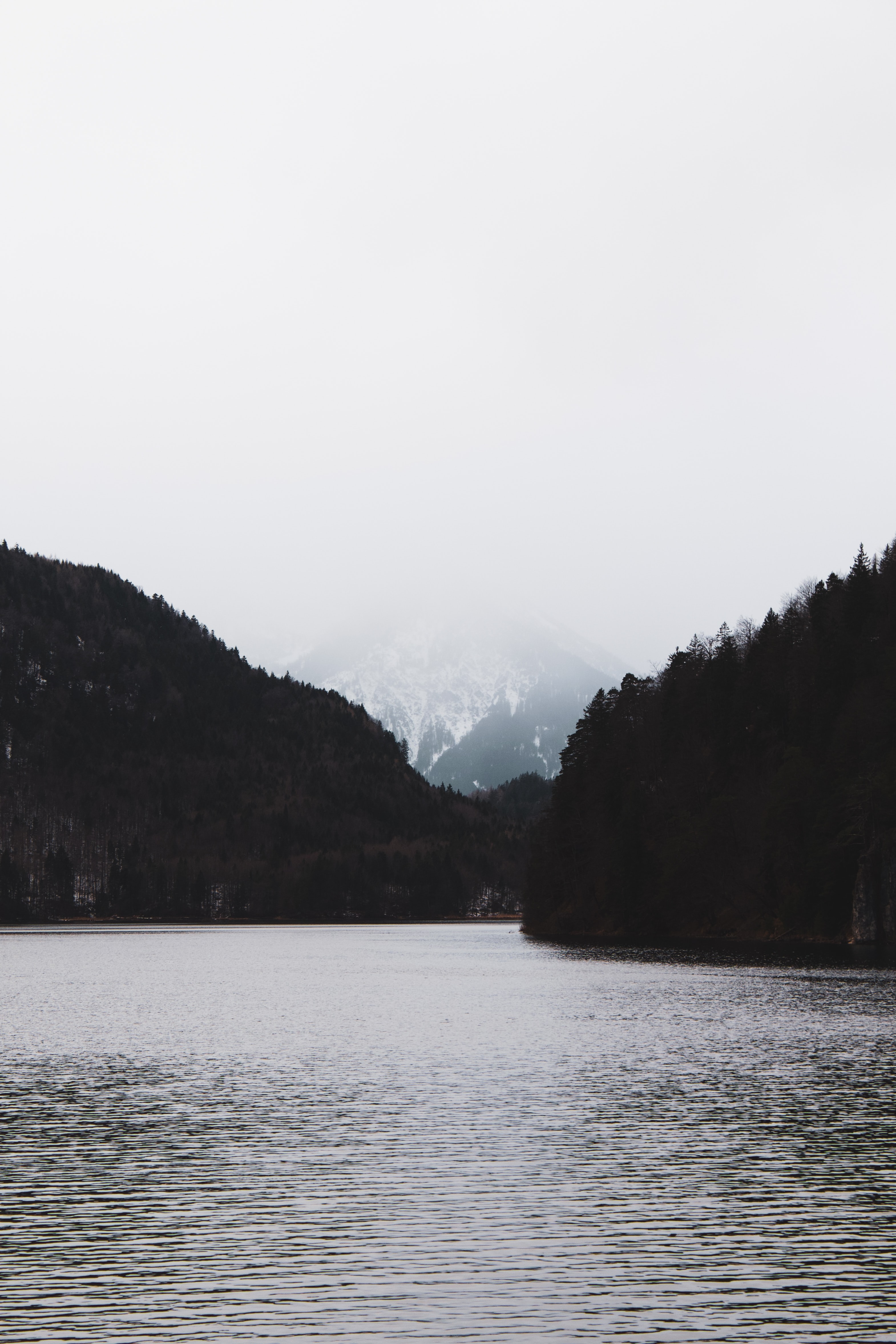 Download mobile wallpaper Ripples, Ripple, Fog, Forest, Nature, Trees, Mountains for free.
