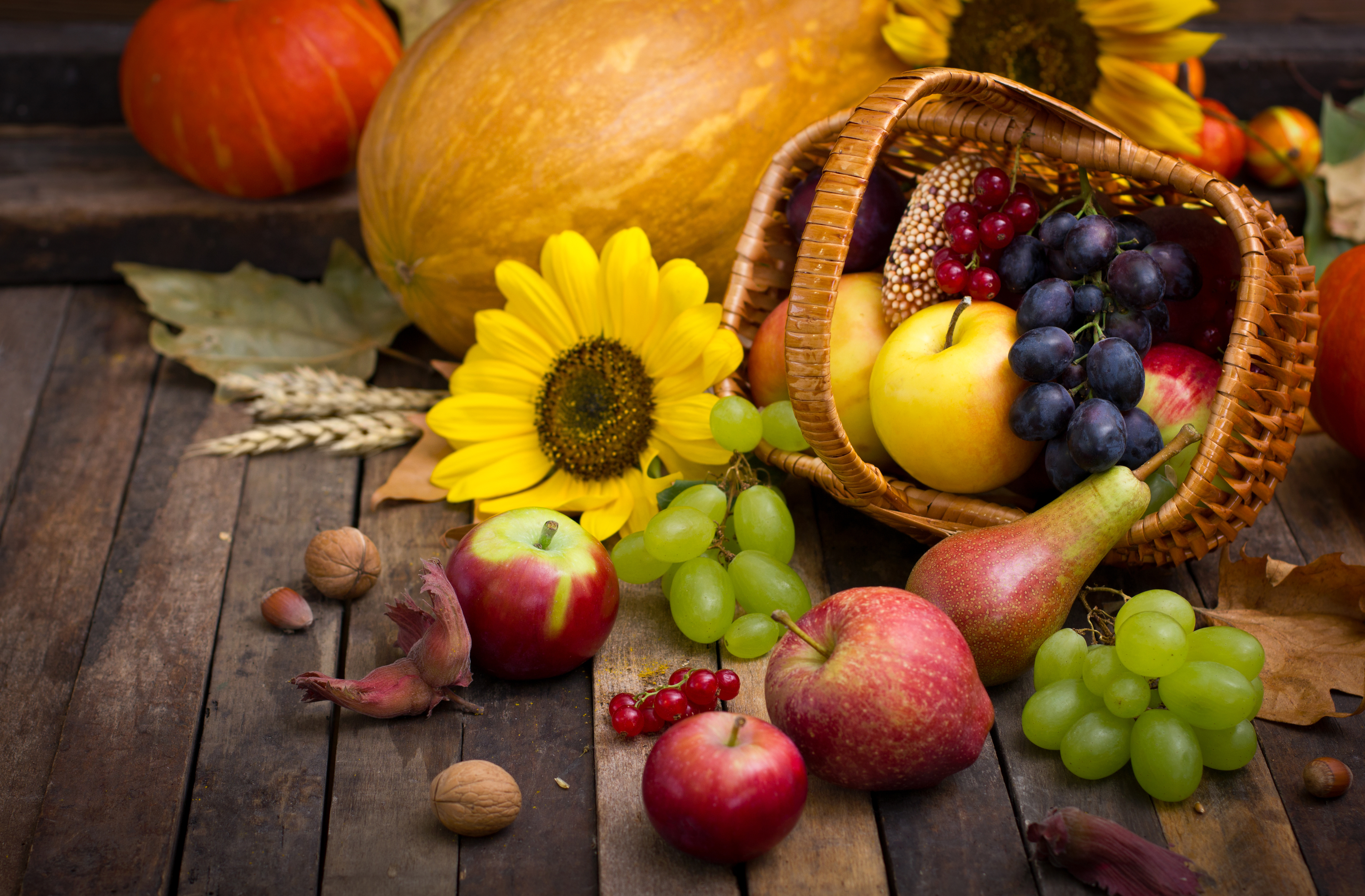 1524163 скачать картинку подсолнухи, осень, груша, виноград, урожай, еда, натюрморт, яблоко - обои и заставки бесплатно