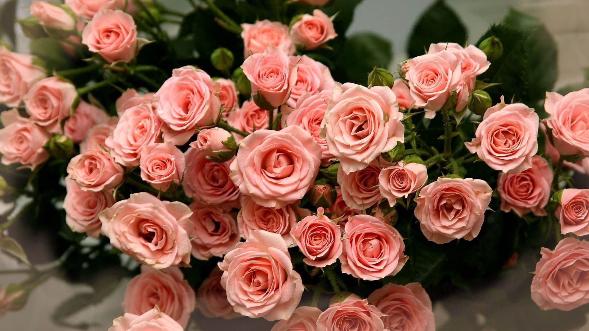 Download mobile wallpaper Petals, Bouquet, Flowers, Pink, Roses for free.