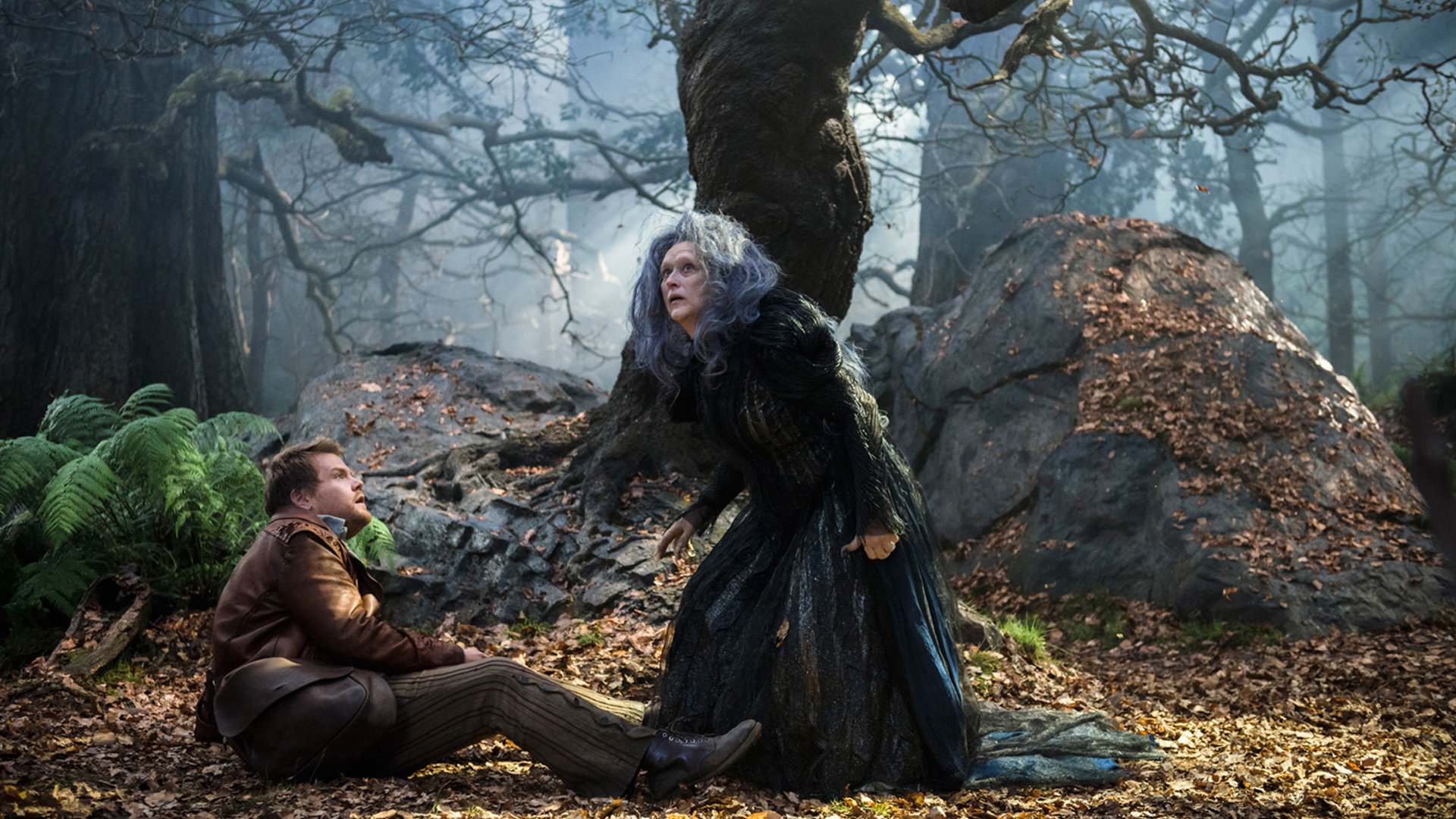 movie, into the woods (2014)
