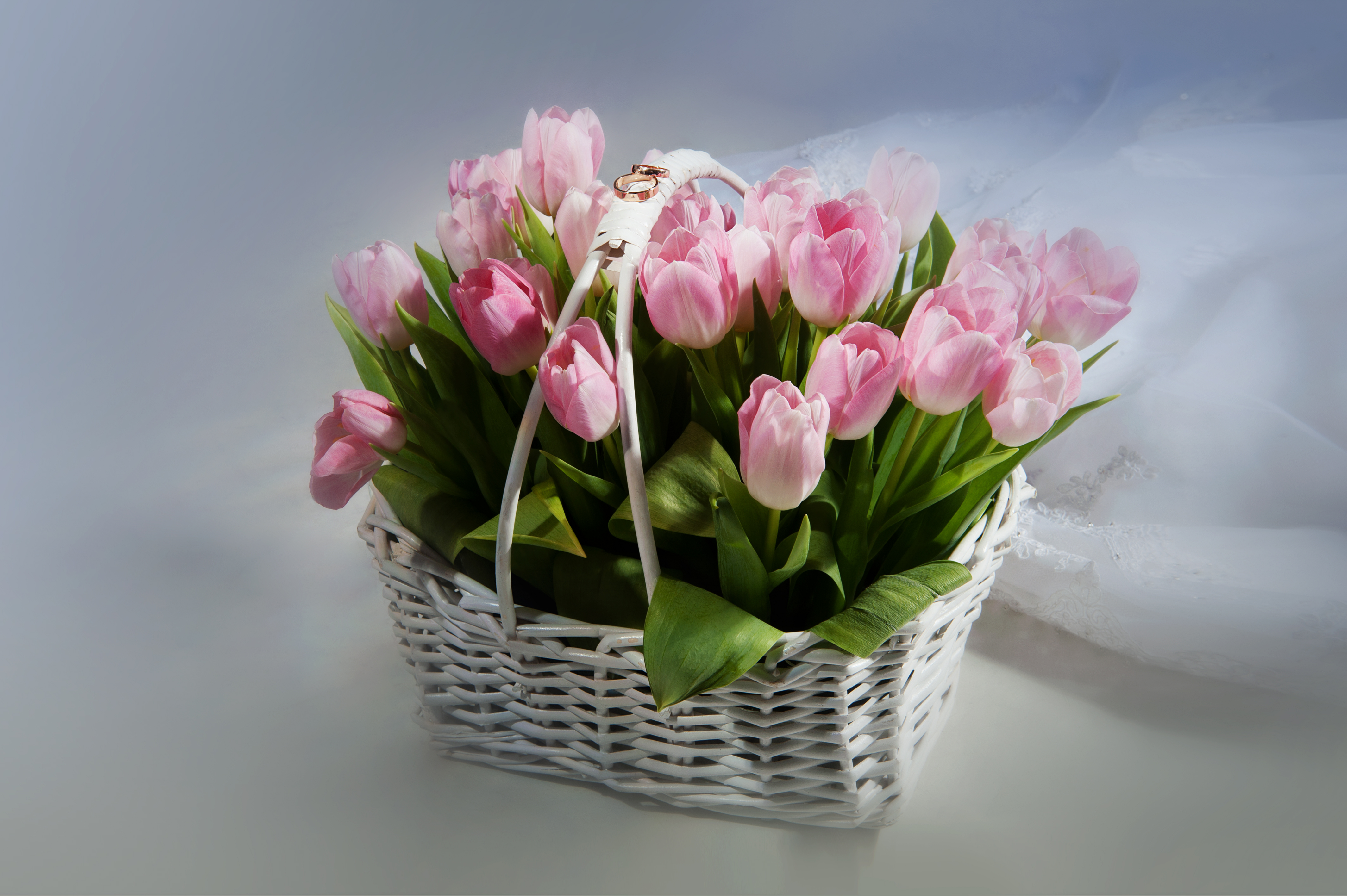 Download mobile wallpaper Flower, Ring, Basket, Tulip, Petal, Man Made for free.