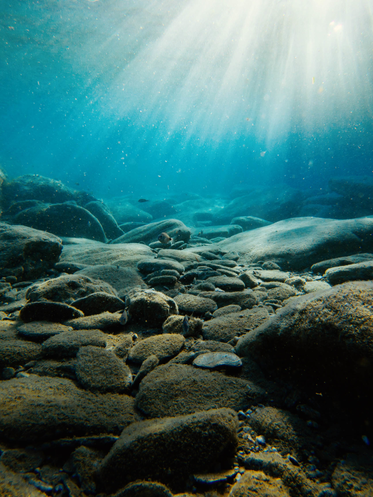 Baixar papel de parede para celular de Embaixo Da Agua, Fotografia gratuito.