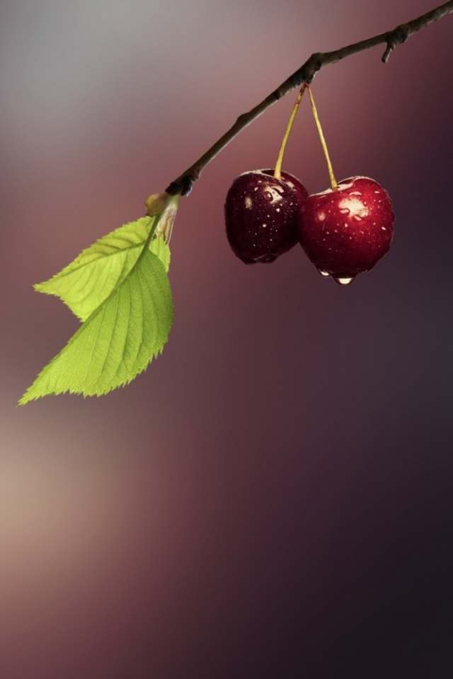 Download mobile wallpaper Fruits, Food, Cherry, Fruit for free.