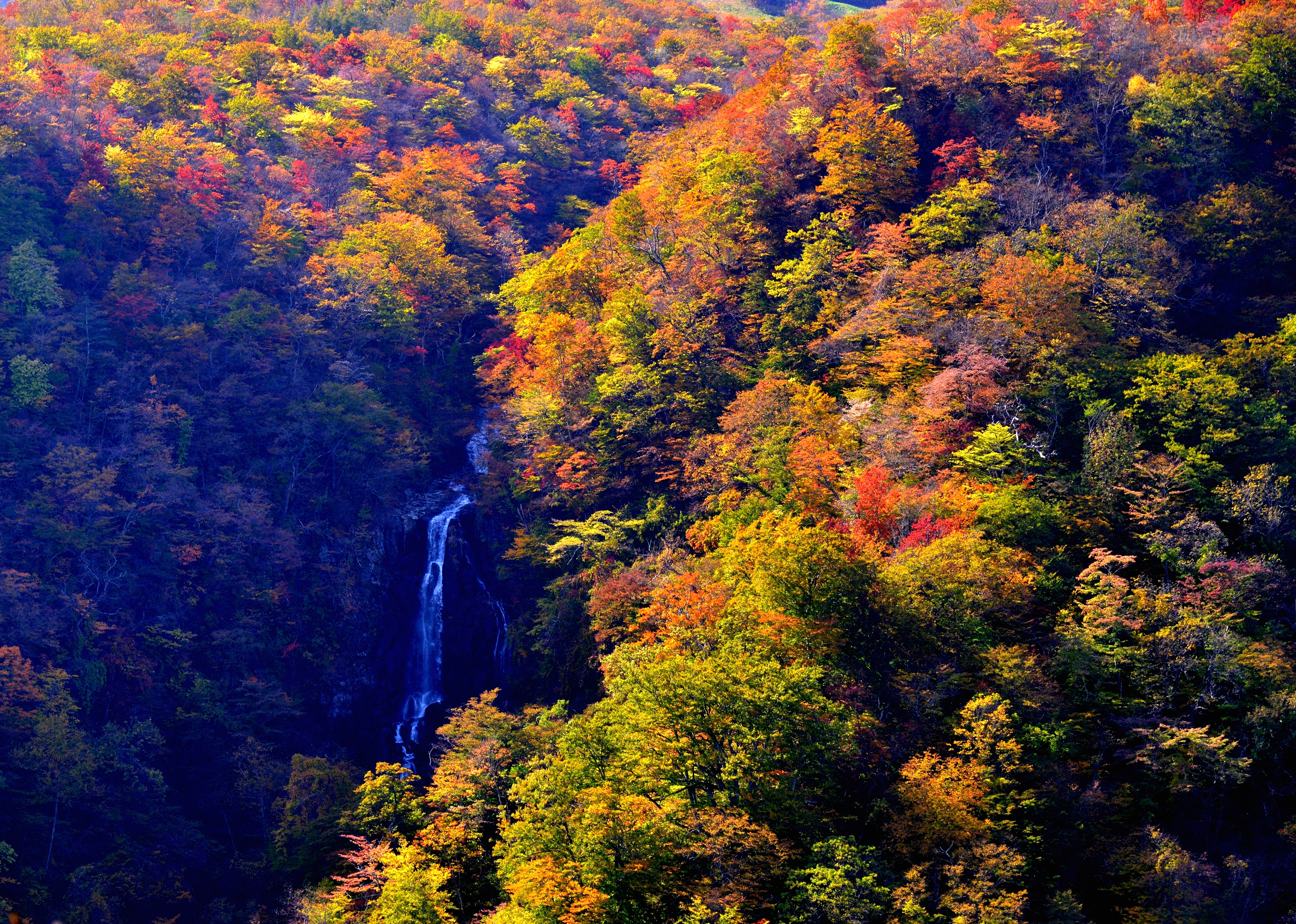 Descarga gratis la imagen Naturaleza, Otoño, Cascadas, Cascada, Bosque, Tierra/naturaleza en el escritorio de tu PC