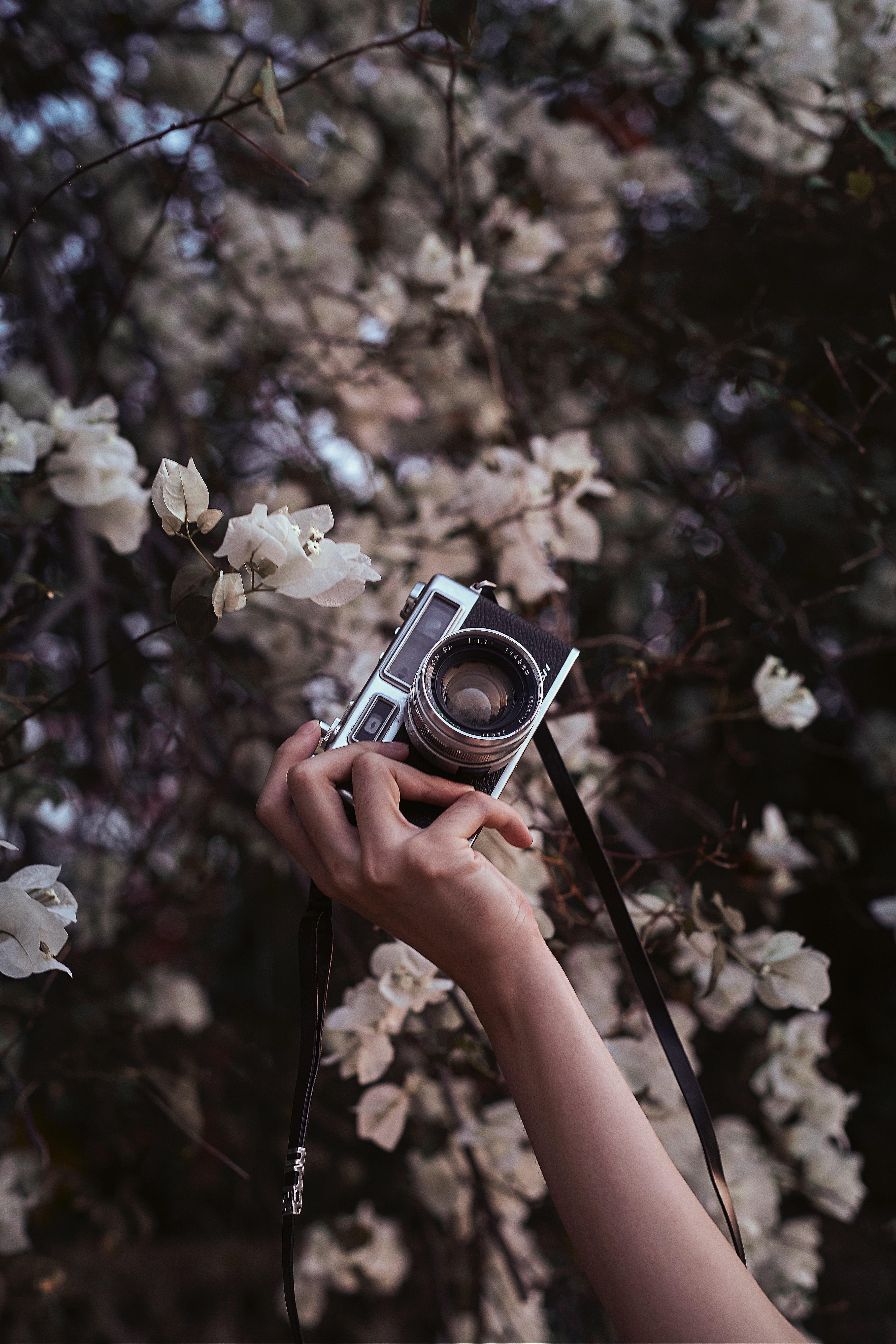 camera, flowers, hand, miscellanea, miscellaneous, bloom, flowering, retro lock screen backgrounds