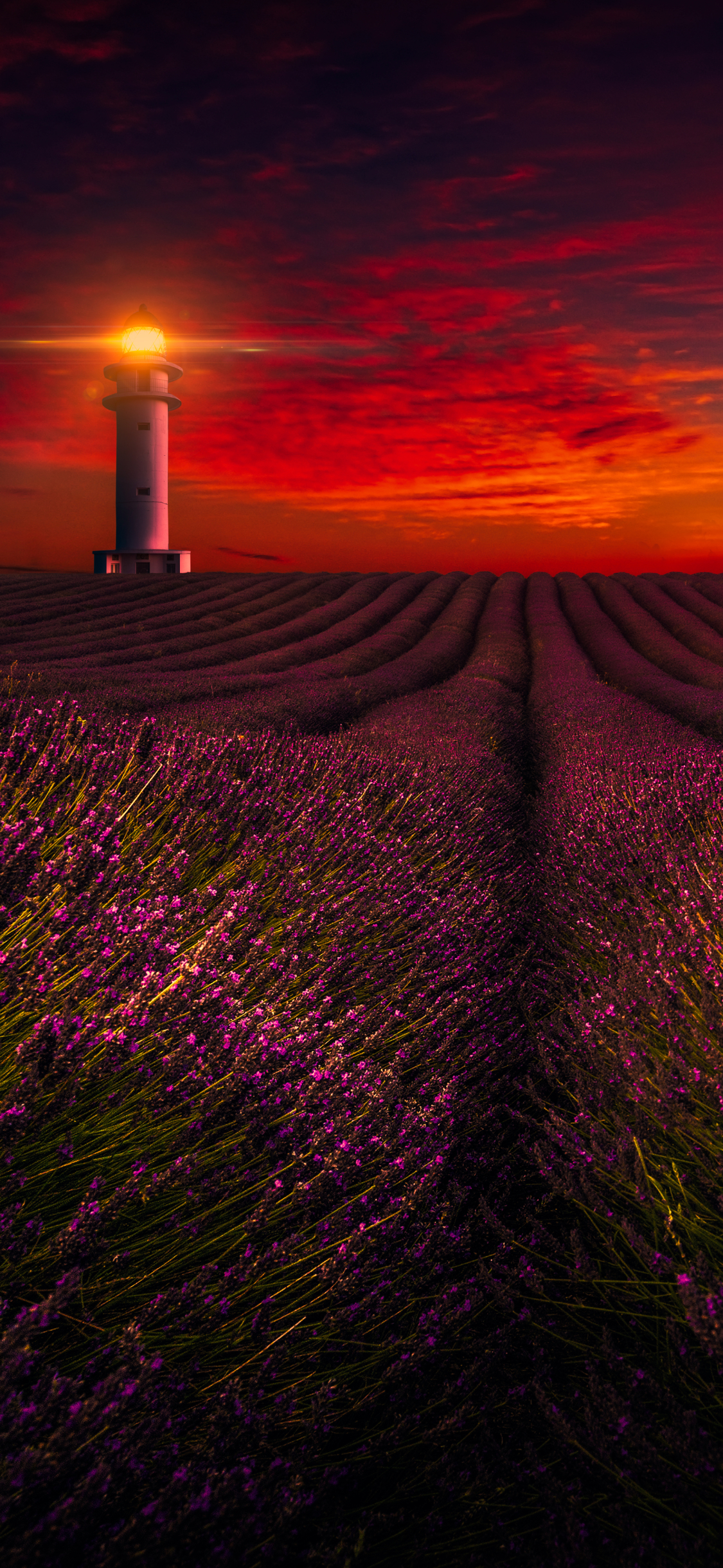 Download mobile wallpaper Landscape, Field, Lighthouse, Lavender, Photography, Purple Flower for free.