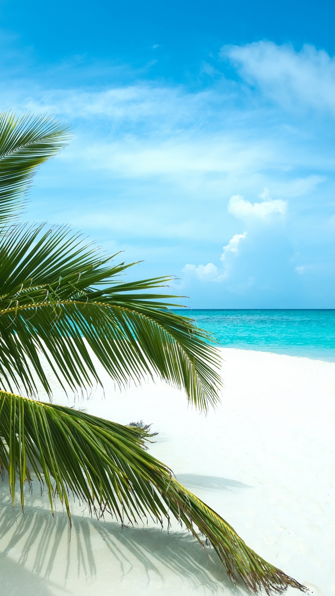 Скачать картинку Пляж, Тропики, Земля/природа в телефон бесплатно.