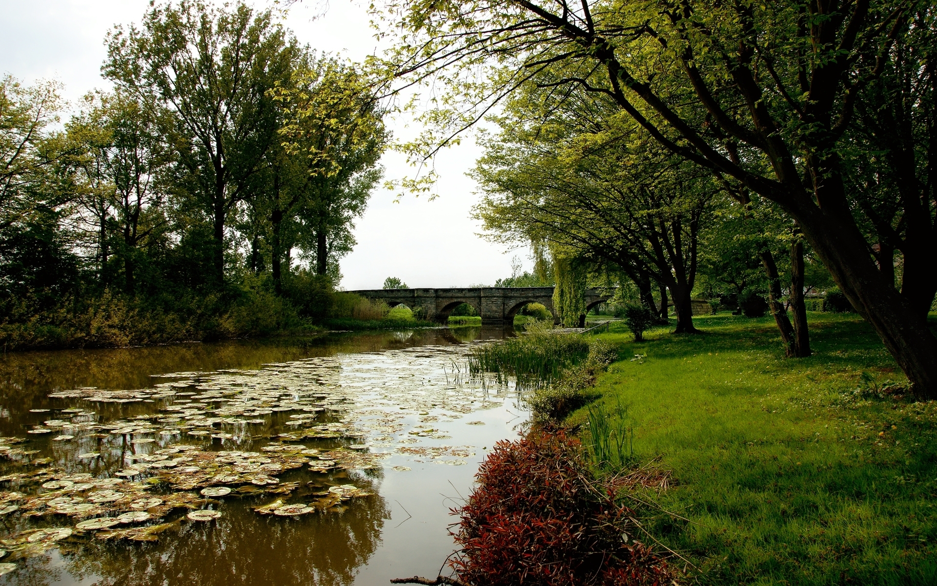 PCデスクトップに川, 橋, 木, 草, 風景画像を無料でダウンロード