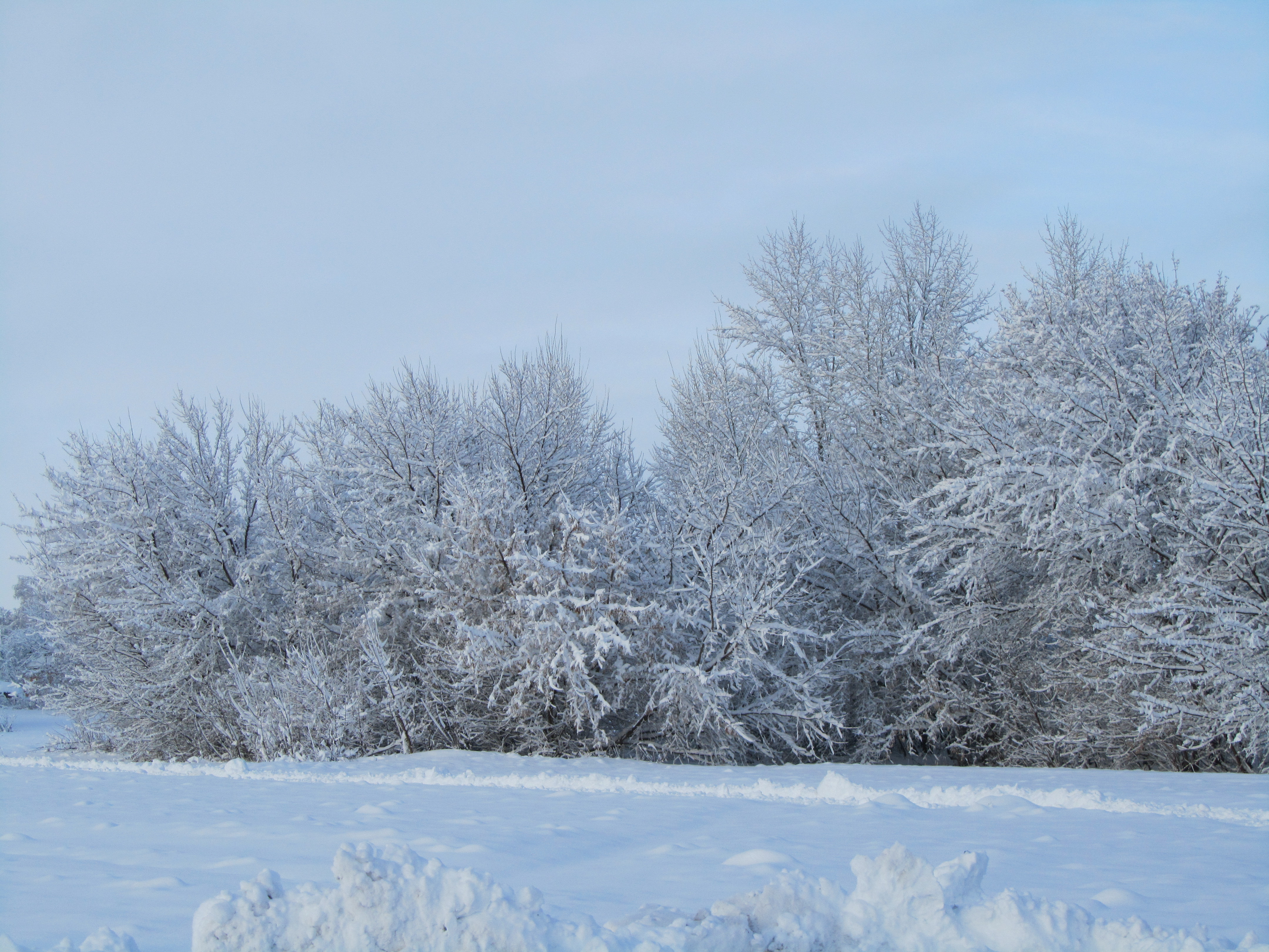 Baixe gratuitamente a imagem Inverno, Terra/natureza na área de trabalho do seu PC