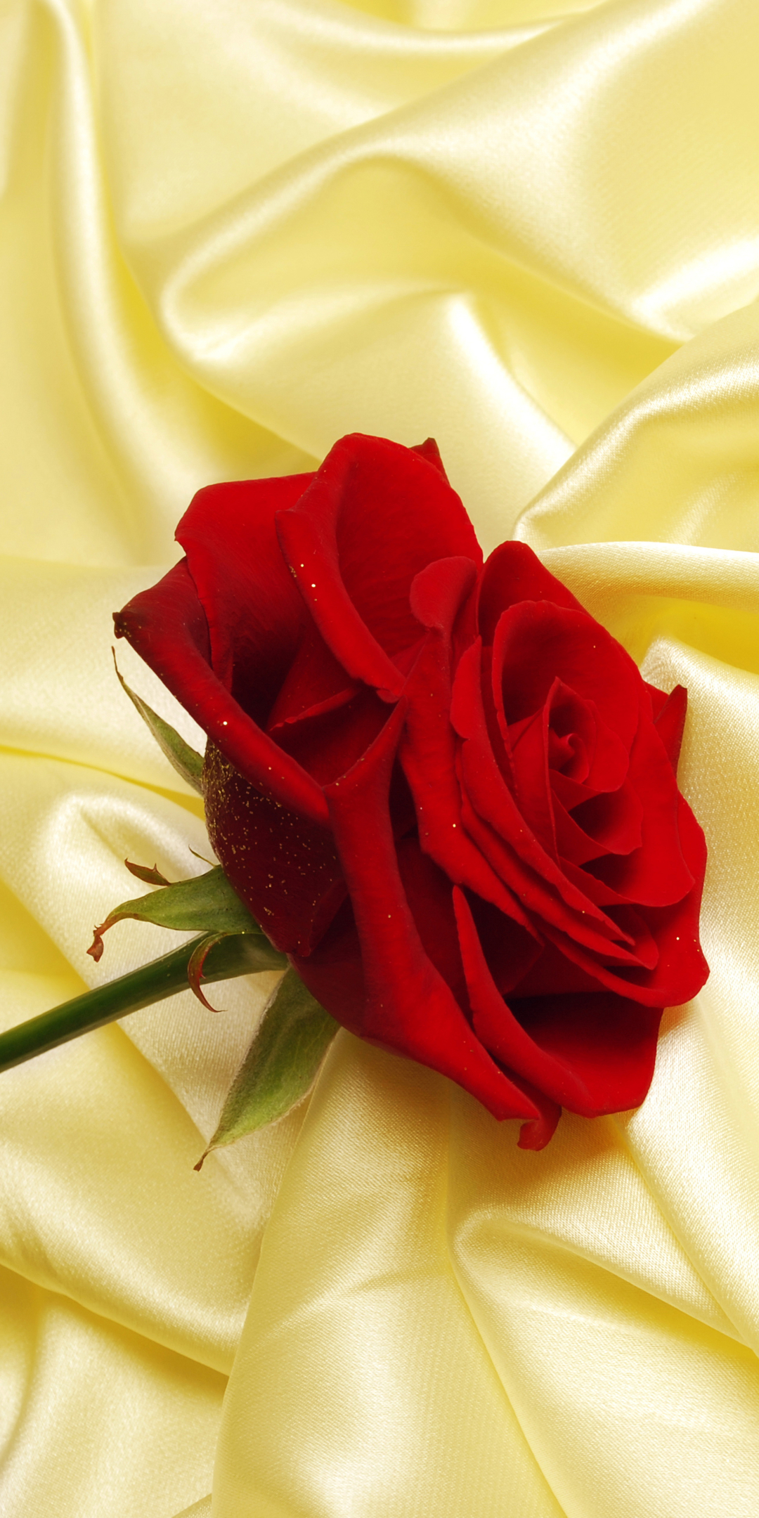 Скачать картинку Цветок, Роза, Красная Роза, День Святого Валентина, Красный Цветок, Земля/природа, Флауэрсы в телефон бесплатно.