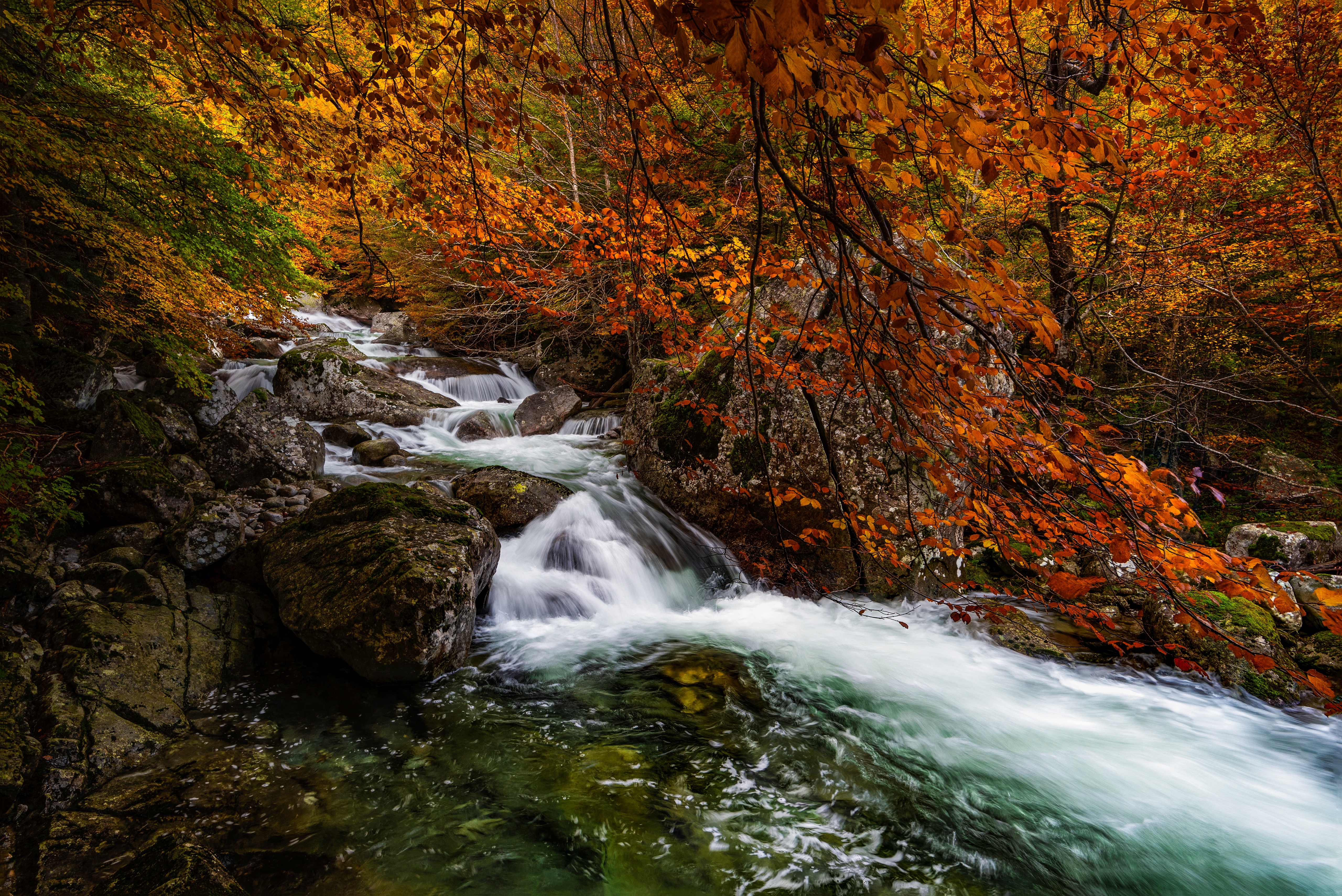 PCデスクトップに秋, 滝, 森, 地球画像を無料でダウンロード