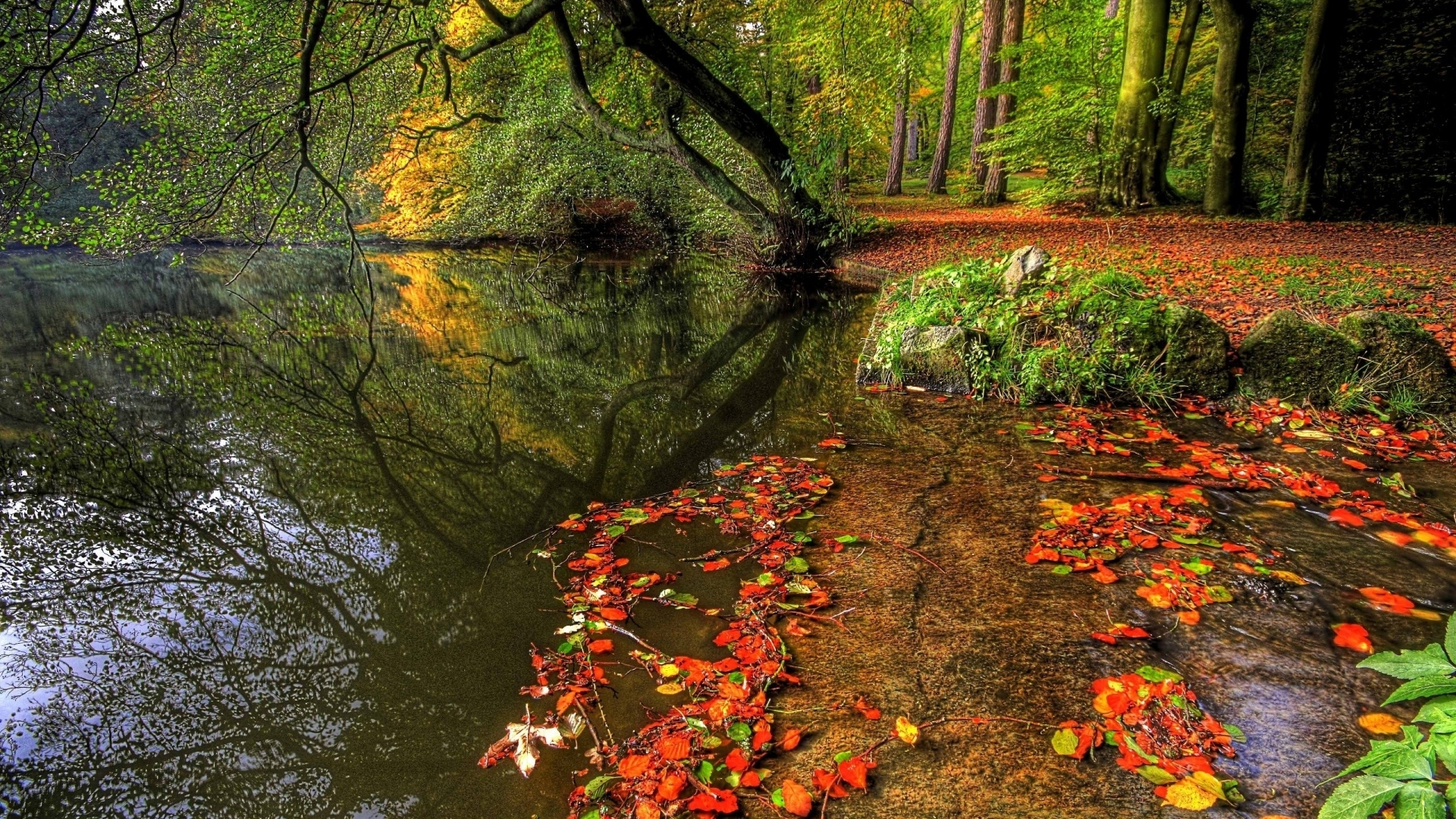 Laden Sie das Herbst, Erde/natur-Bild kostenlos auf Ihren PC-Desktop herunter