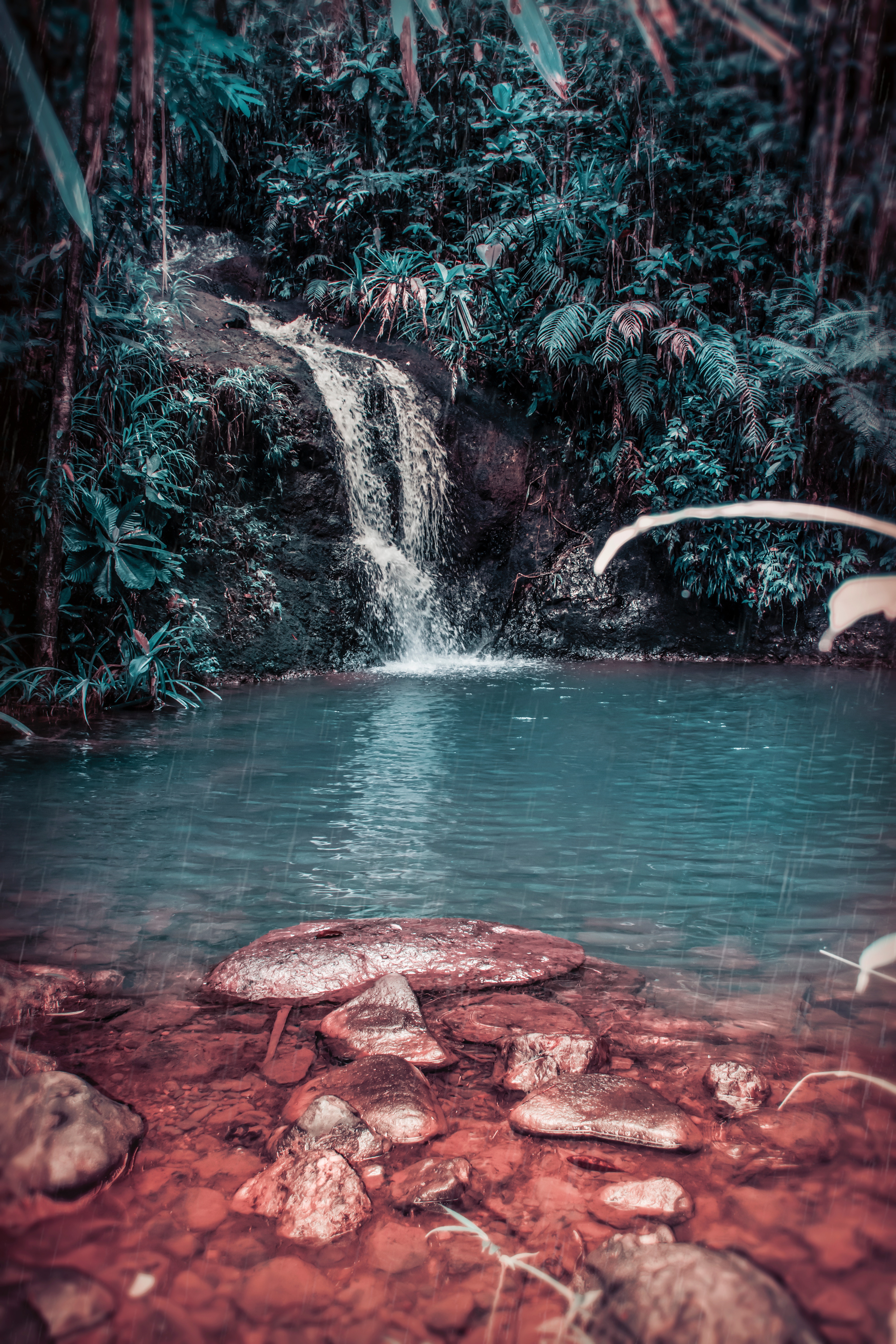 waterfall, tropical, jungle, forest, stones, nature, spray, creek, brook