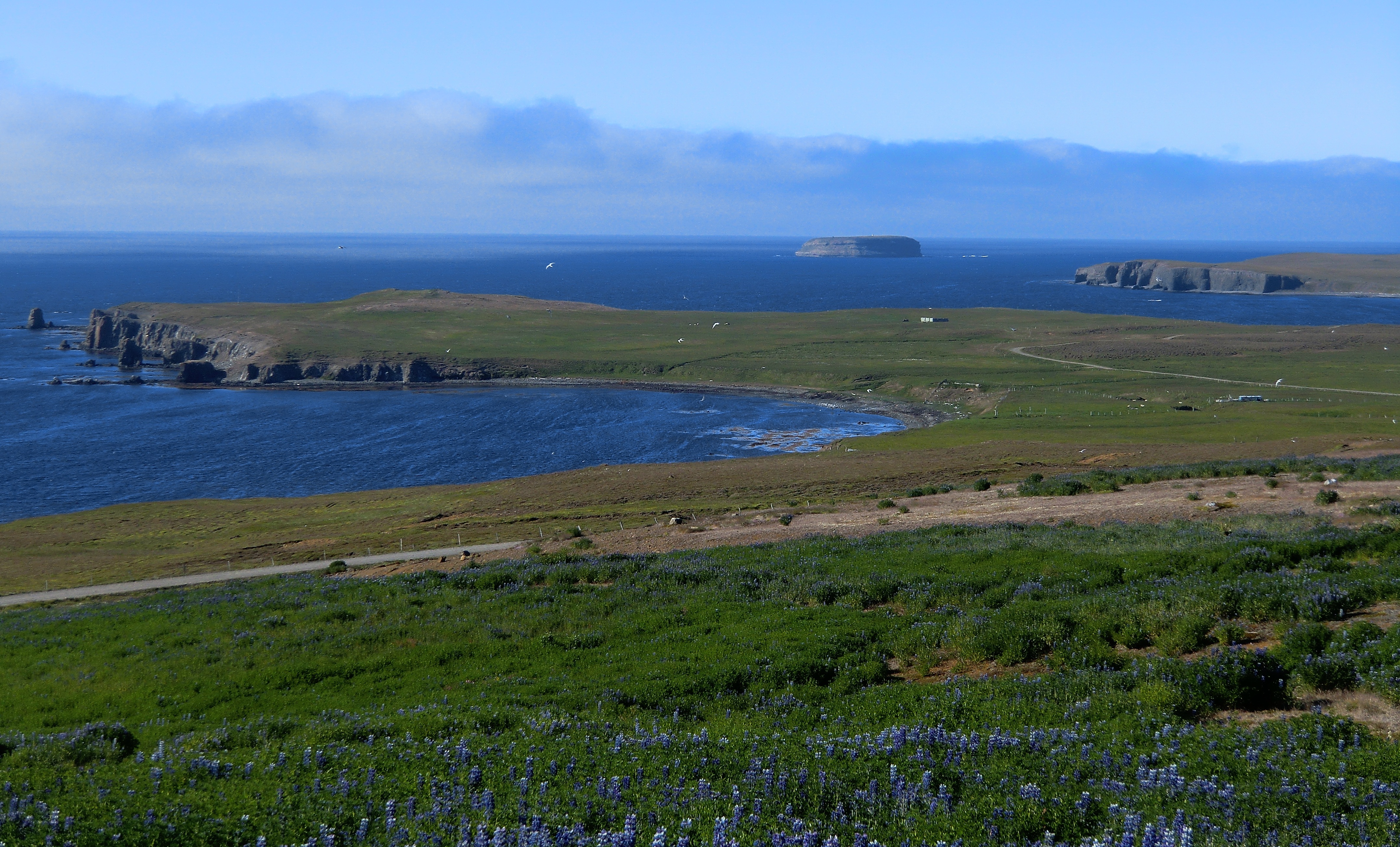 Download mobile wallpaper Sea, Earth, Iceland, Coastline for free.