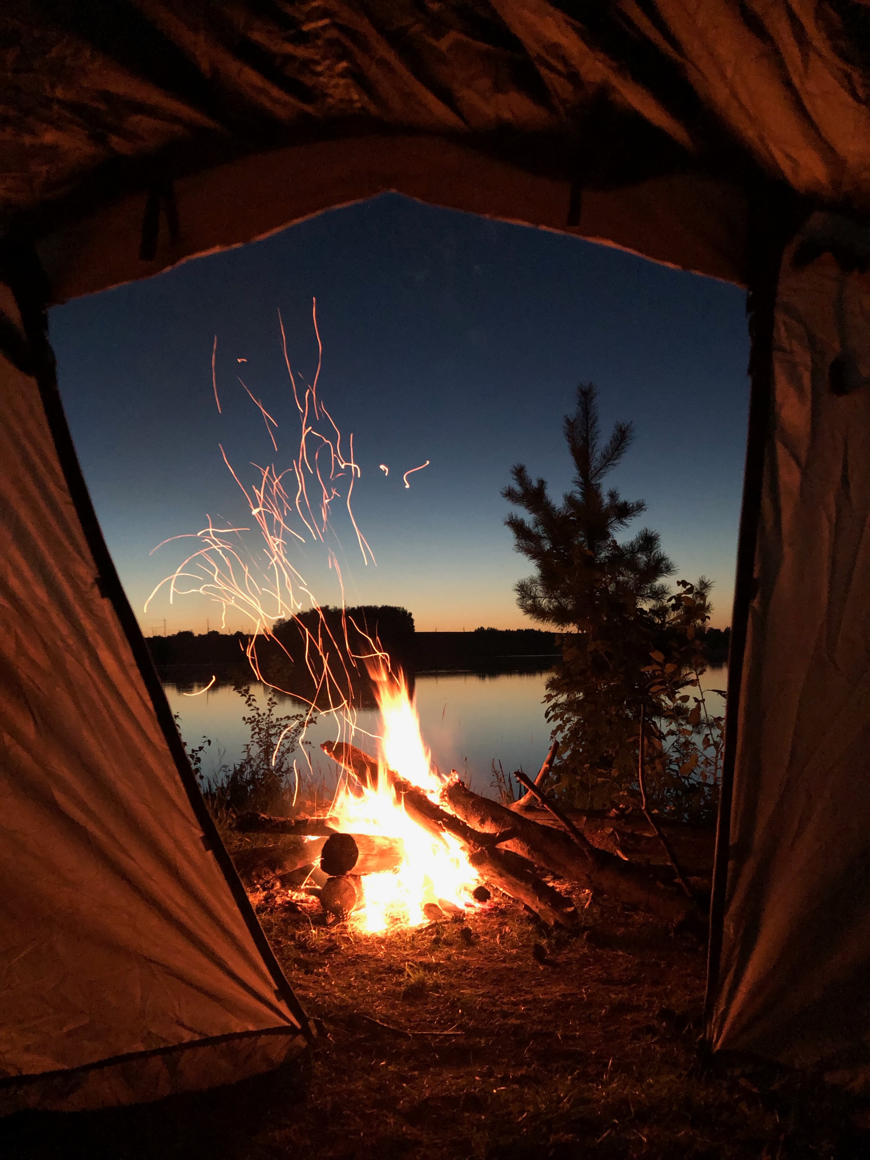 camping, bonfire, tent, campsite, night, nature