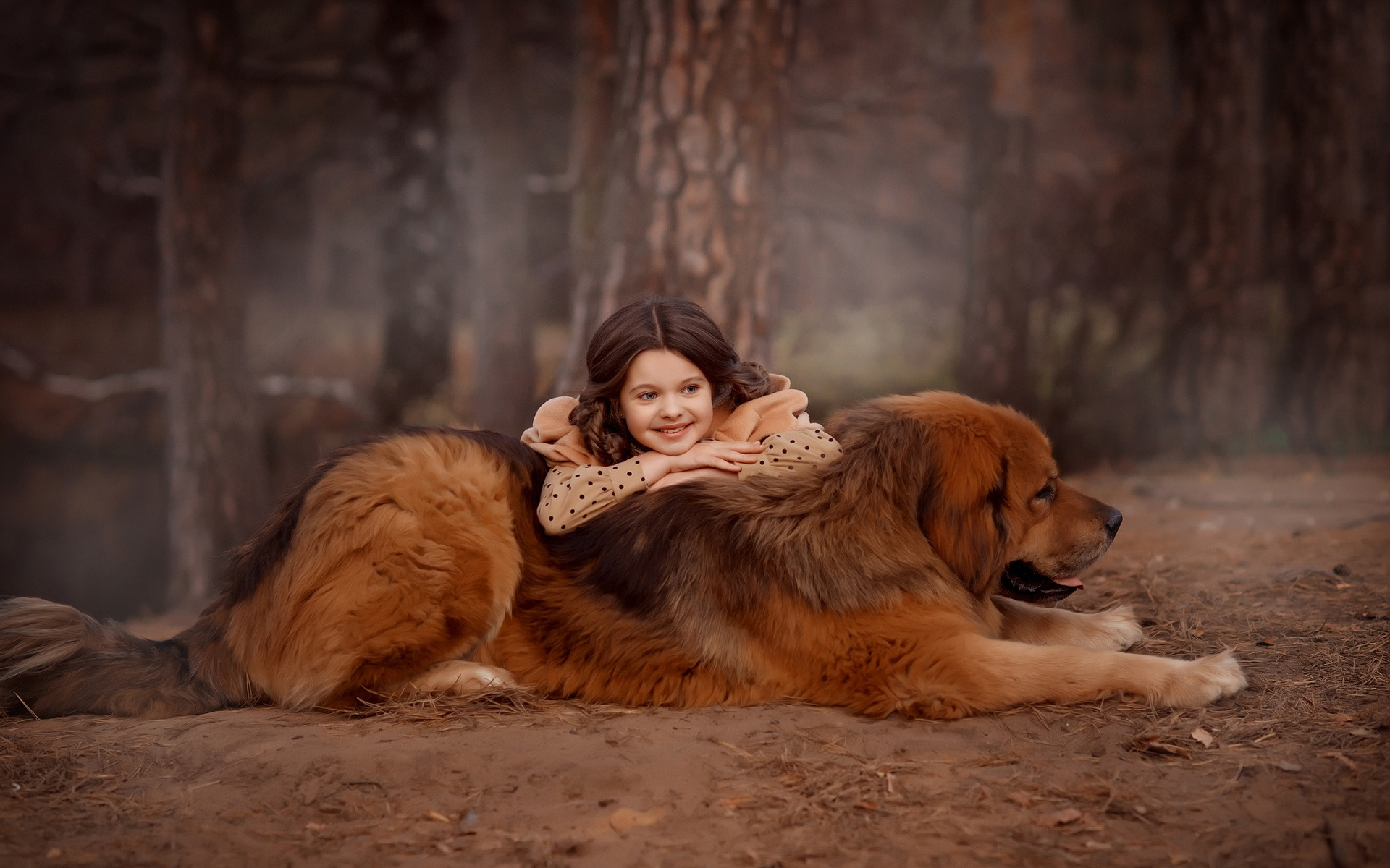 Handy-Wallpaper Wald, Hund, Kind, Fotografie, Tibetischer Mastiff kostenlos herunterladen.