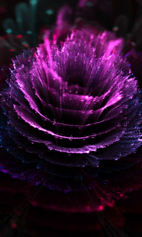 無料モバイル壁紙花, フラクタル, 概要, 紫のをダウンロードします。