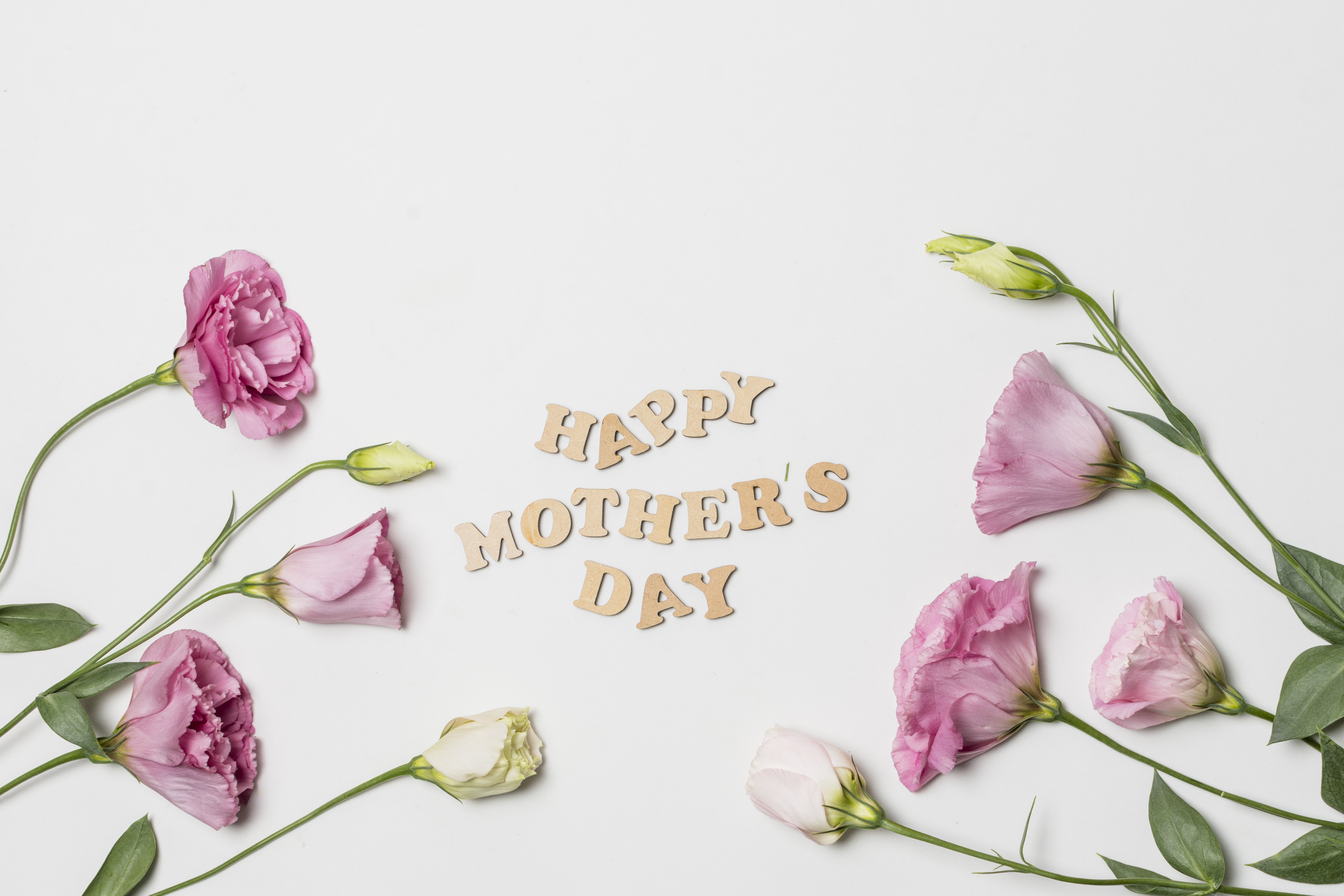 Handy-Wallpaper Feiertage, Blume, Muttertag, Pinke Blume, Schönen Muttertag kostenlos herunterladen.