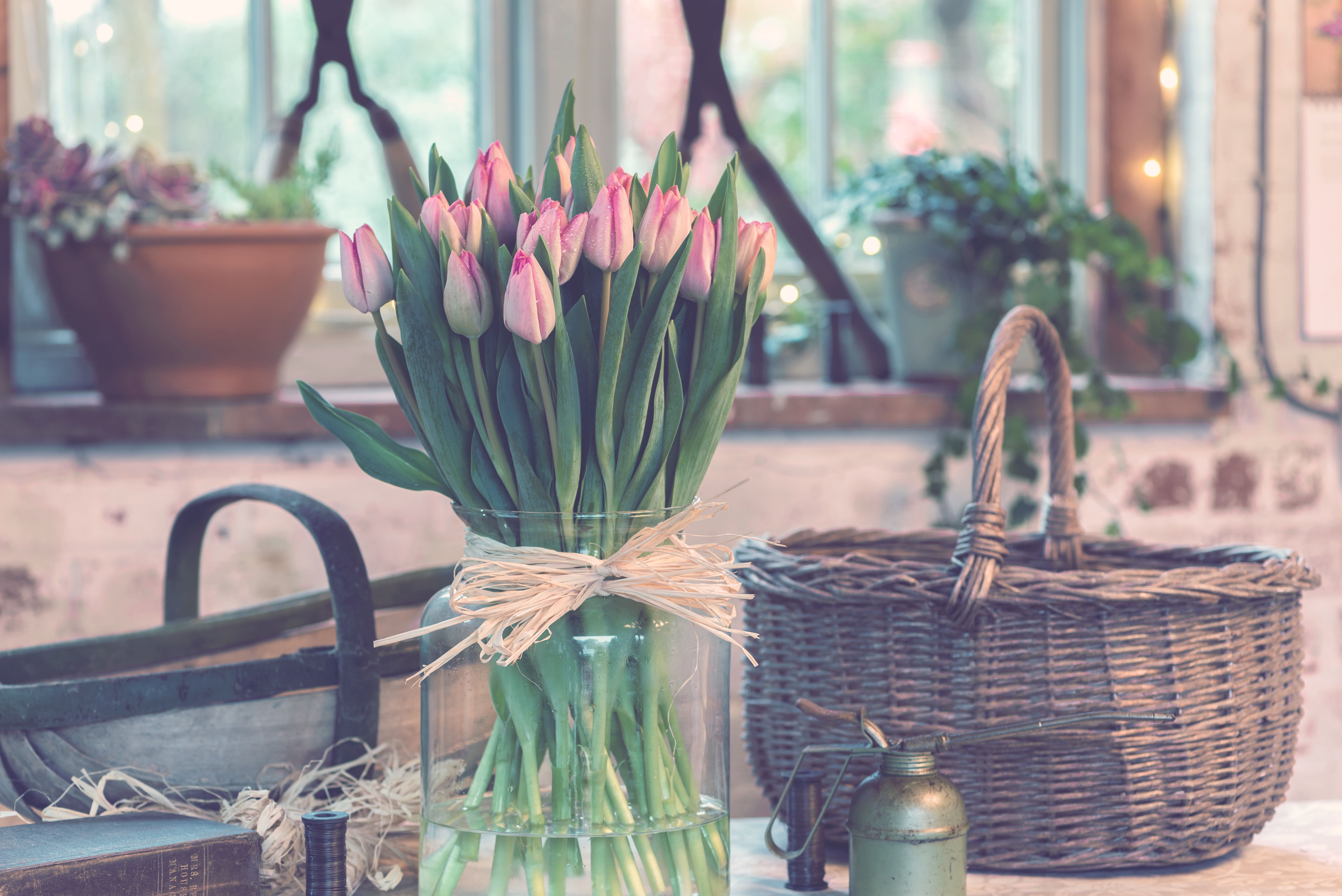 70596 baixar papel de parede ramalhete, buquê, flores, tulipas, vaso - protetores de tela e imagens gratuitamente