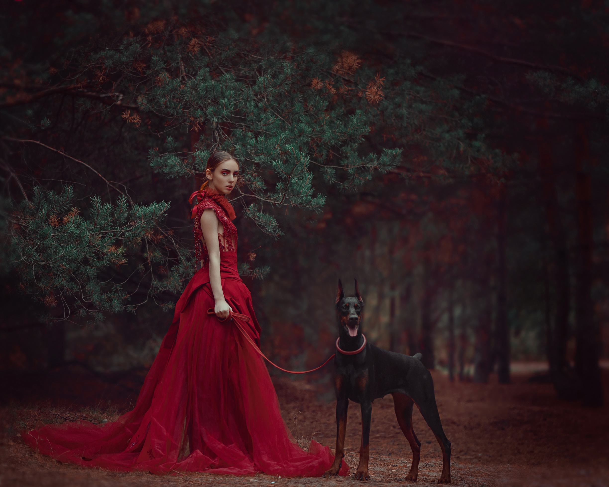 Download mobile wallpaper Dog, Style, Mood, Women, Red Dress, Doberman Pinscher, Pine Tree for free.