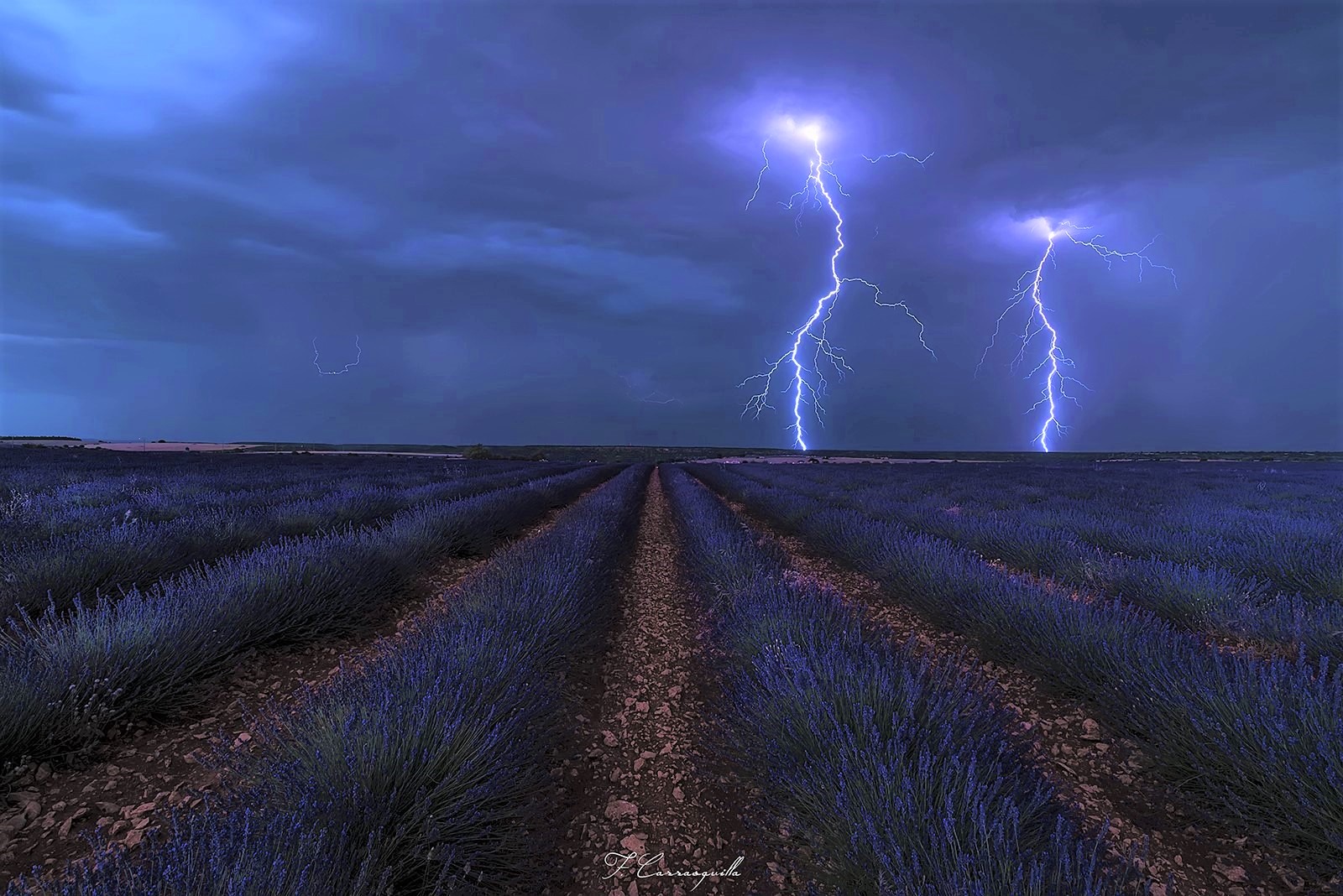 Download mobile wallpaper Sky, Lightning, Storm, Lavender, Photography for free.