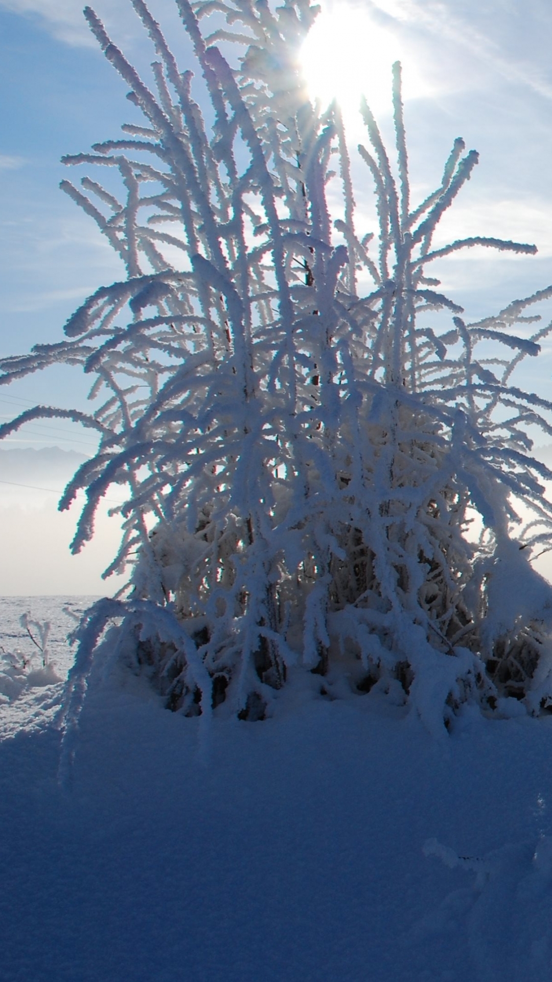 Handy-Wallpaper Winter, Schnee, Erde/natur kostenlos herunterladen.