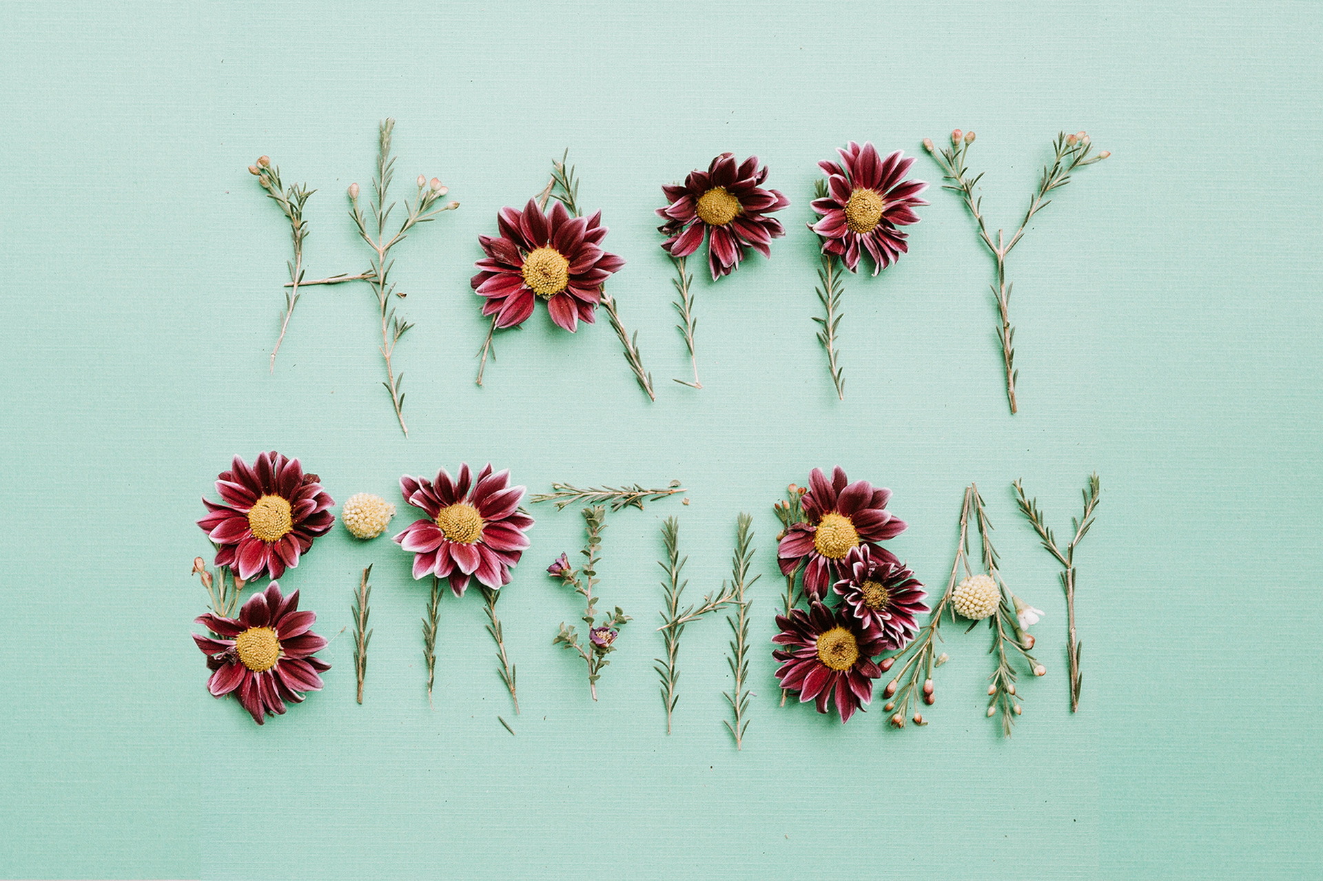 Laden Sie das Feiertage, Blume, Geburtstag, Minimalistisch-Bild kostenlos auf Ihren PC-Desktop herunter