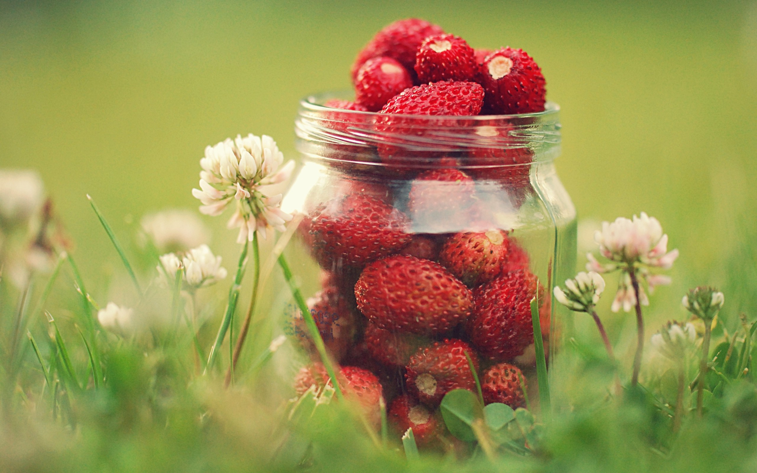 Free download wallpaper Fruits, Food, Strawberry on your PC desktop