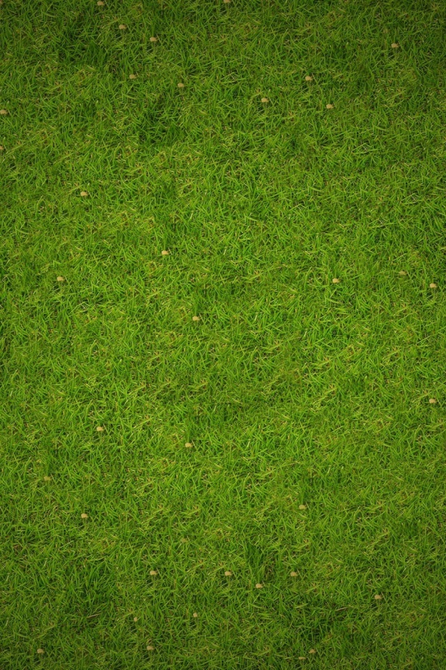 Download mobile wallpaper Nature, Grass, Earth for free.