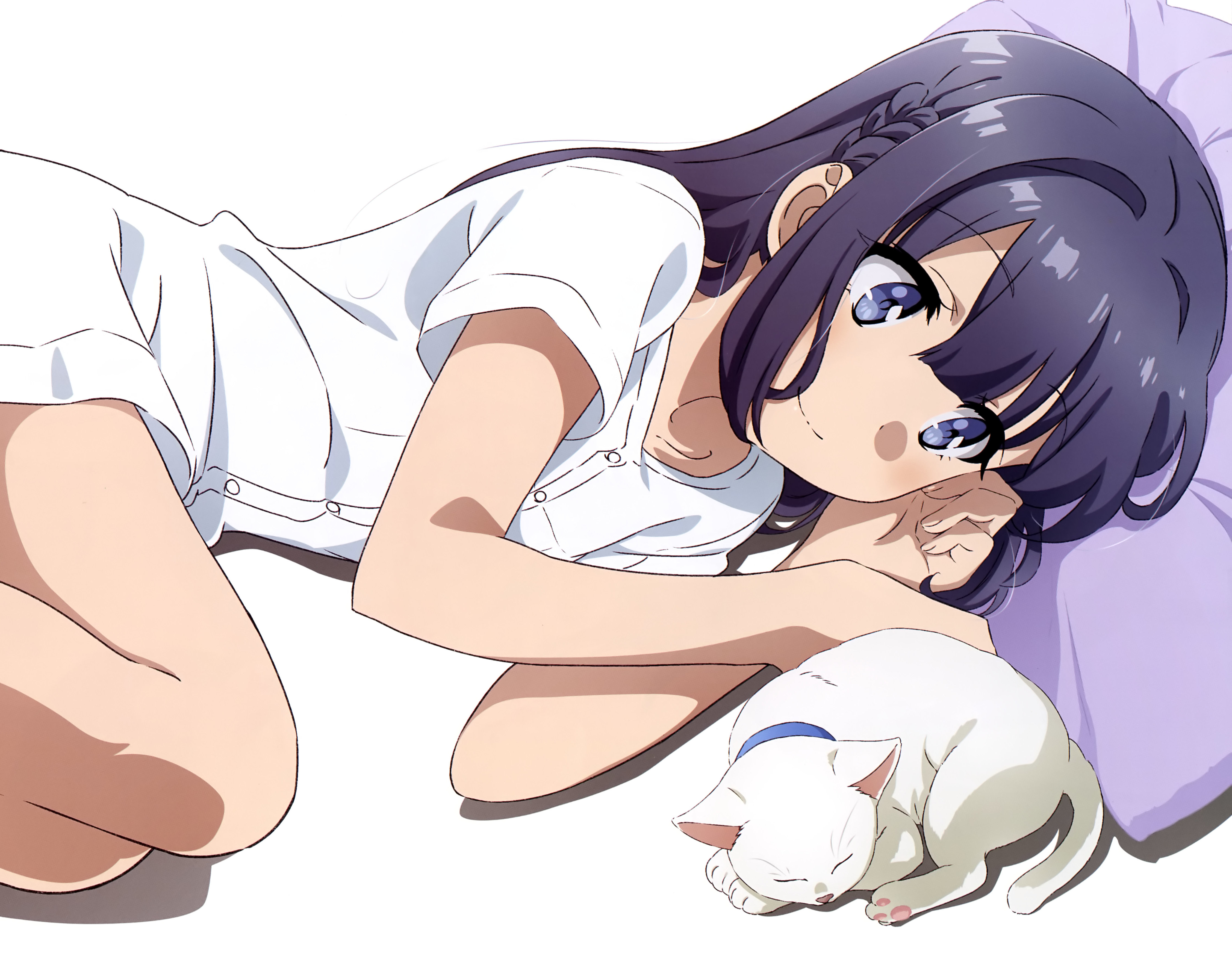 anime, rascal does not dream of bunny girl senpai, cat, shoko makinohara