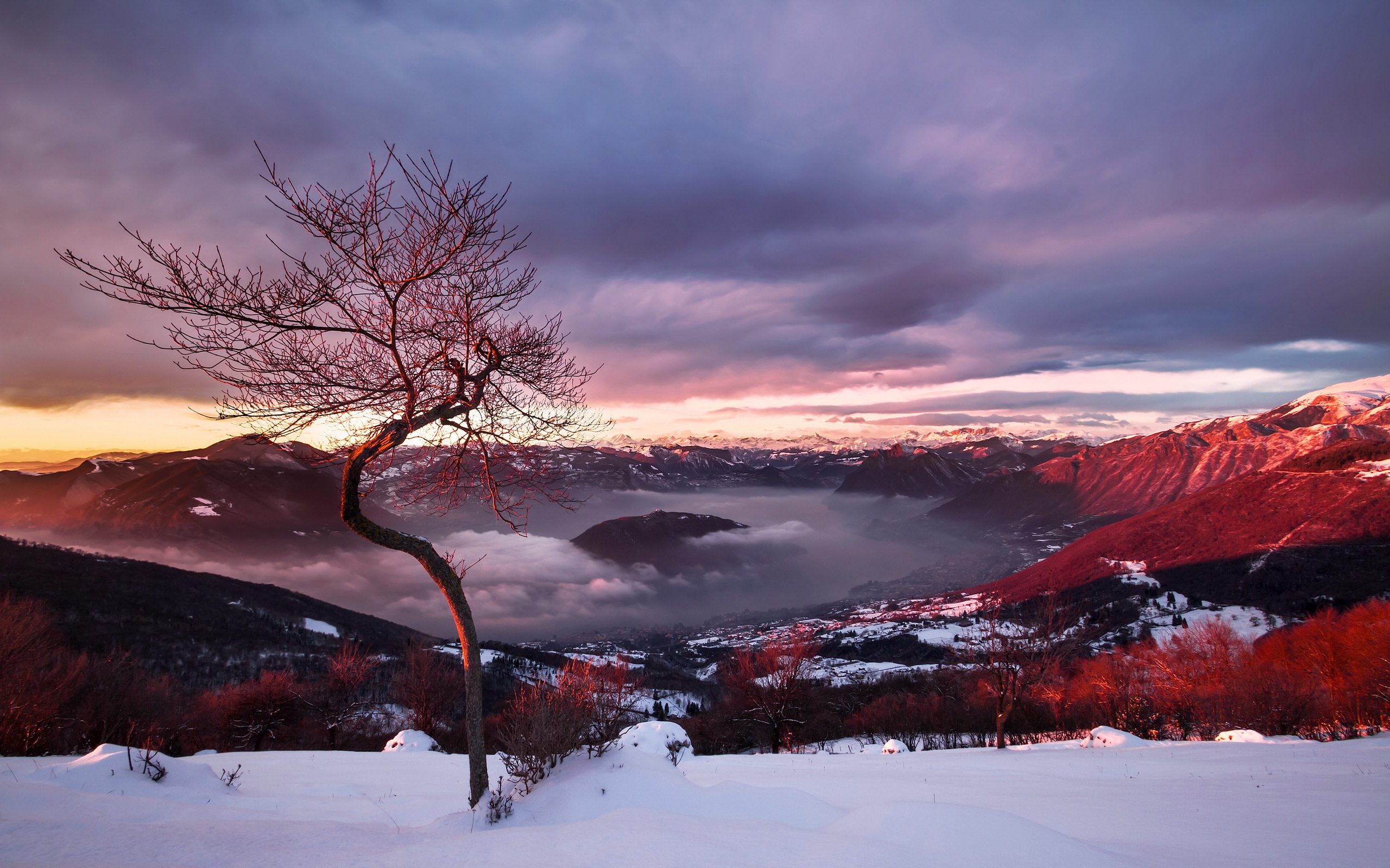 PCデスクトップに風景, 冬, 自然, 雪, 湖, 霧, 地球, パノラマ画像を無料でダウンロード