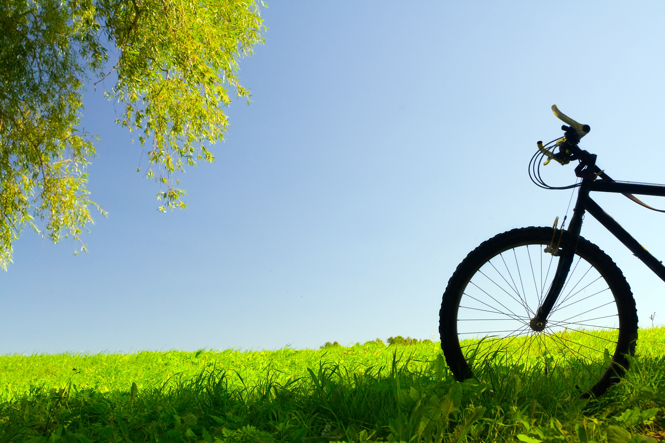 Скачати мобільні шпалери Велосипед, Дерева, Різне, Трава, Поле безкоштовно.