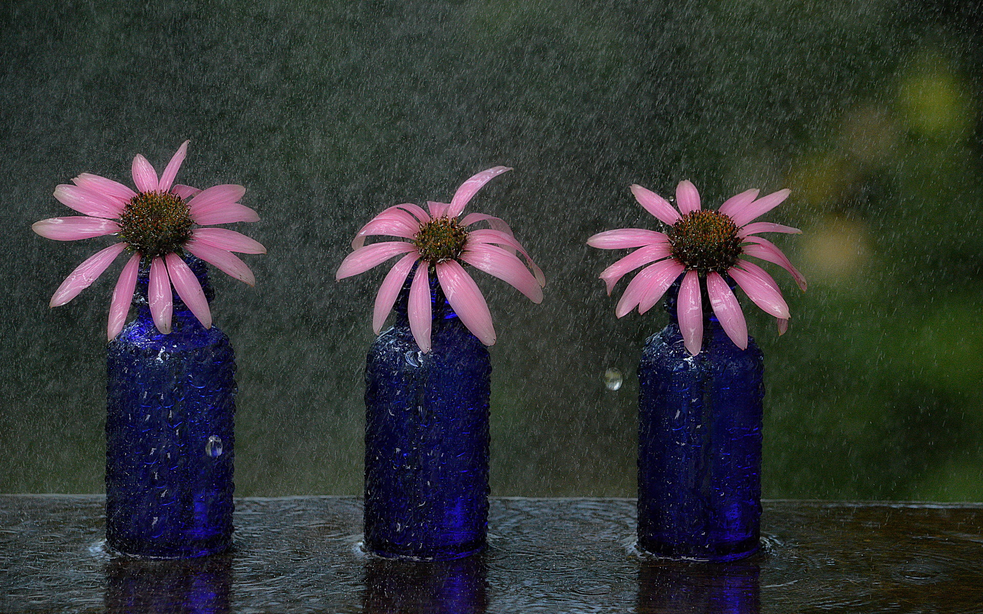 Скачать картинку Дождь, Цветок, Синий, Ваза, Ромашка, Фиолетовый Цветок, Сделано Человеком в телефон бесплатно.