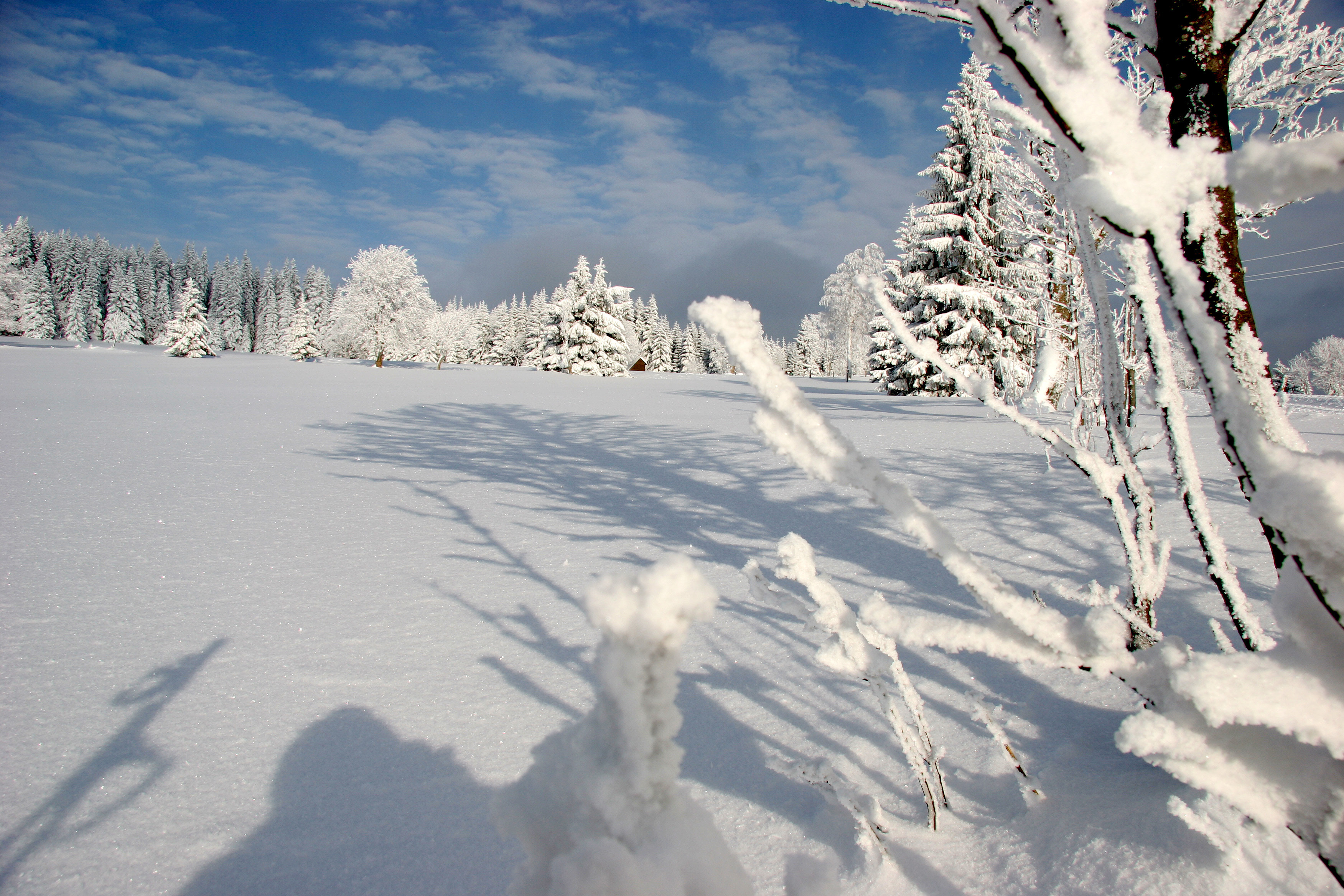 Descarga gratis la imagen Invierno, Tierra/naturaleza en el escritorio de tu PC