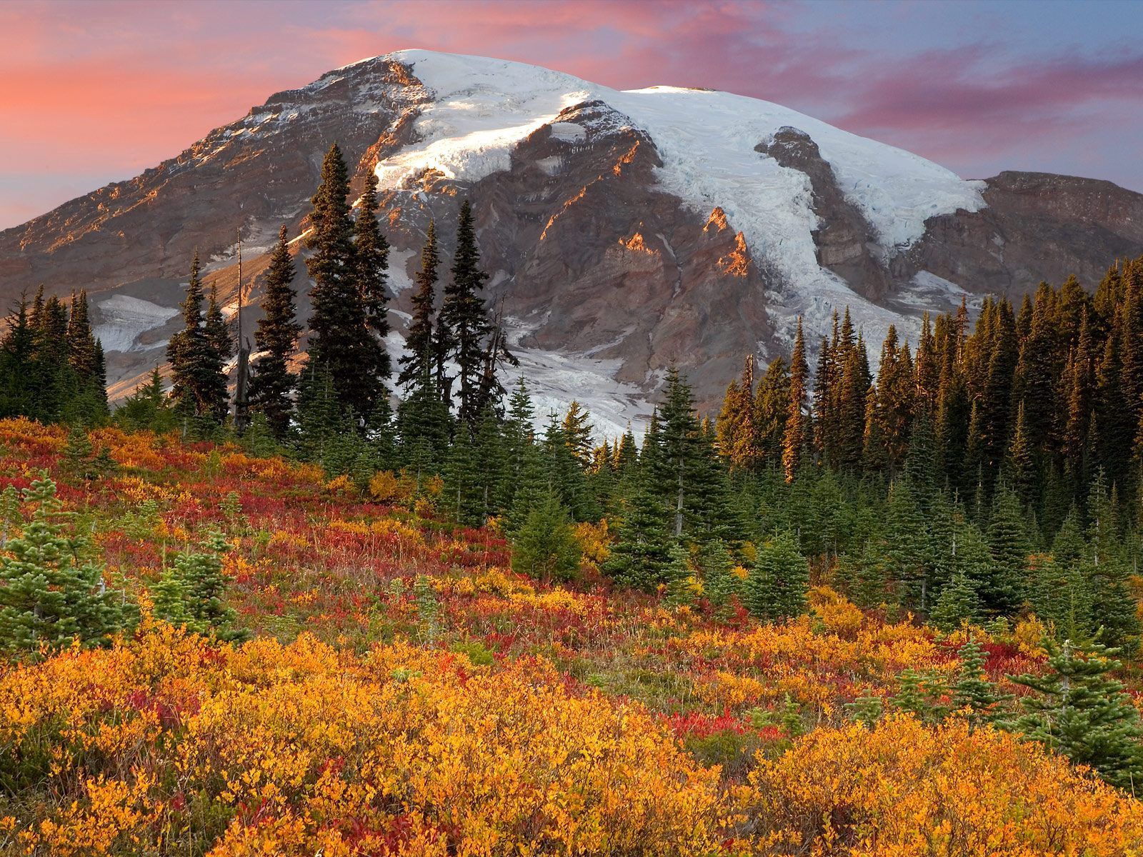 Laden Sie das Natur, Bäume, Mountains, Scheitel, Nach Oben, Aßen, Aß, Schnee, Farben, Farbe, Herbst-Bild kostenlos auf Ihren PC-Desktop herunter