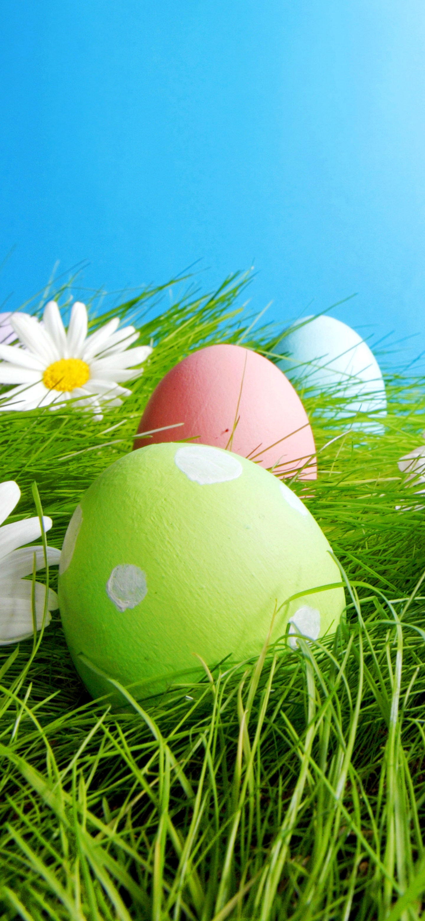 Download mobile wallpaper Easter, Holiday, Easter Egg for free.