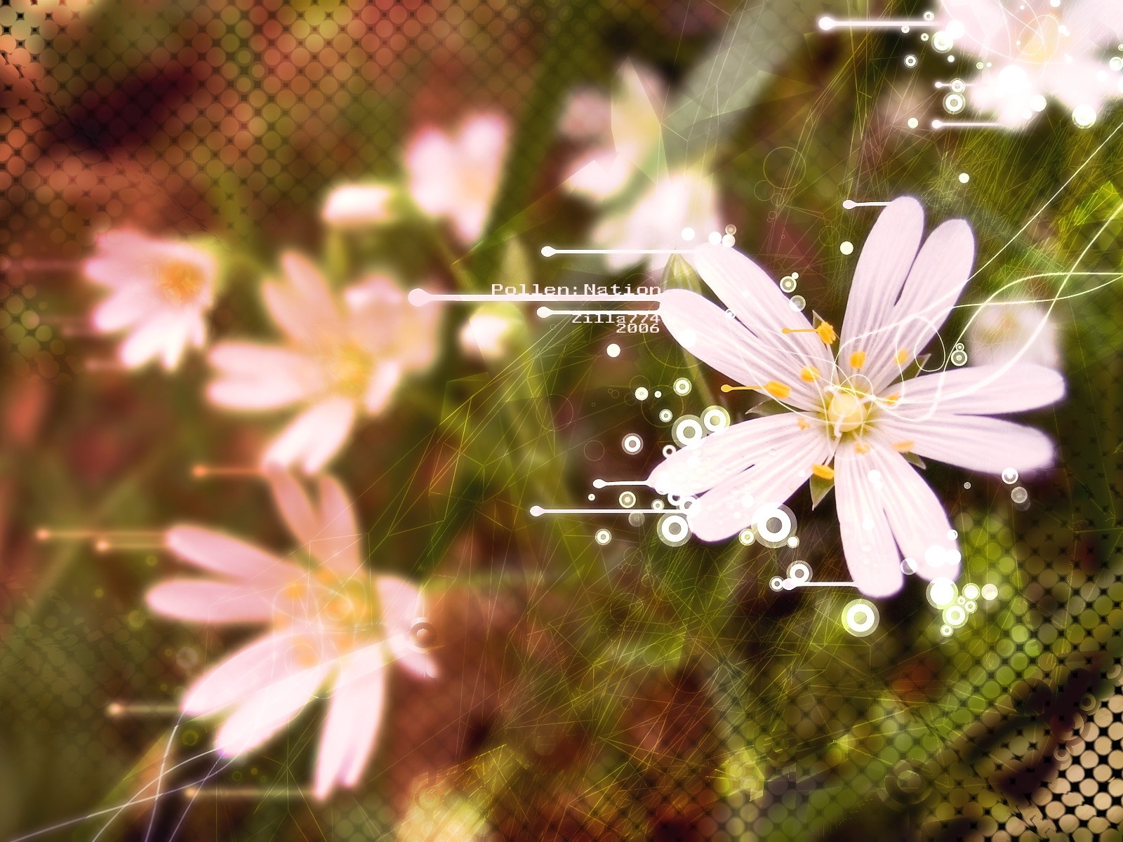 Baixe gratuitamente a imagem Plantas, Flores na área de trabalho do seu PC