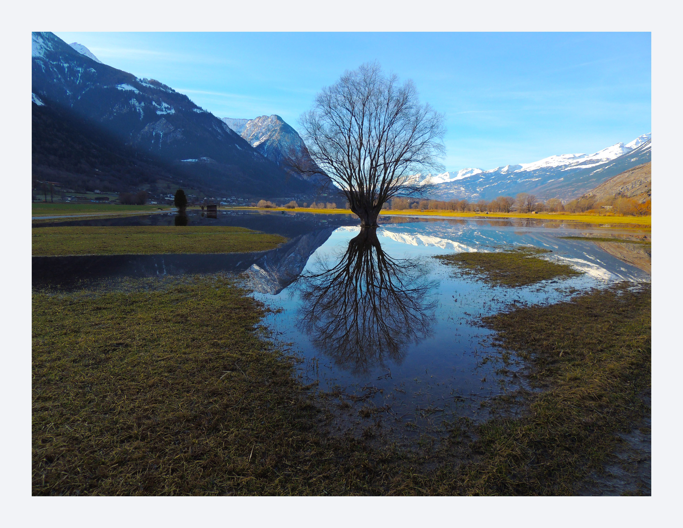 無料モバイル壁紙木, 湖, 山, 反射, 地球, スイスをダウンロードします。