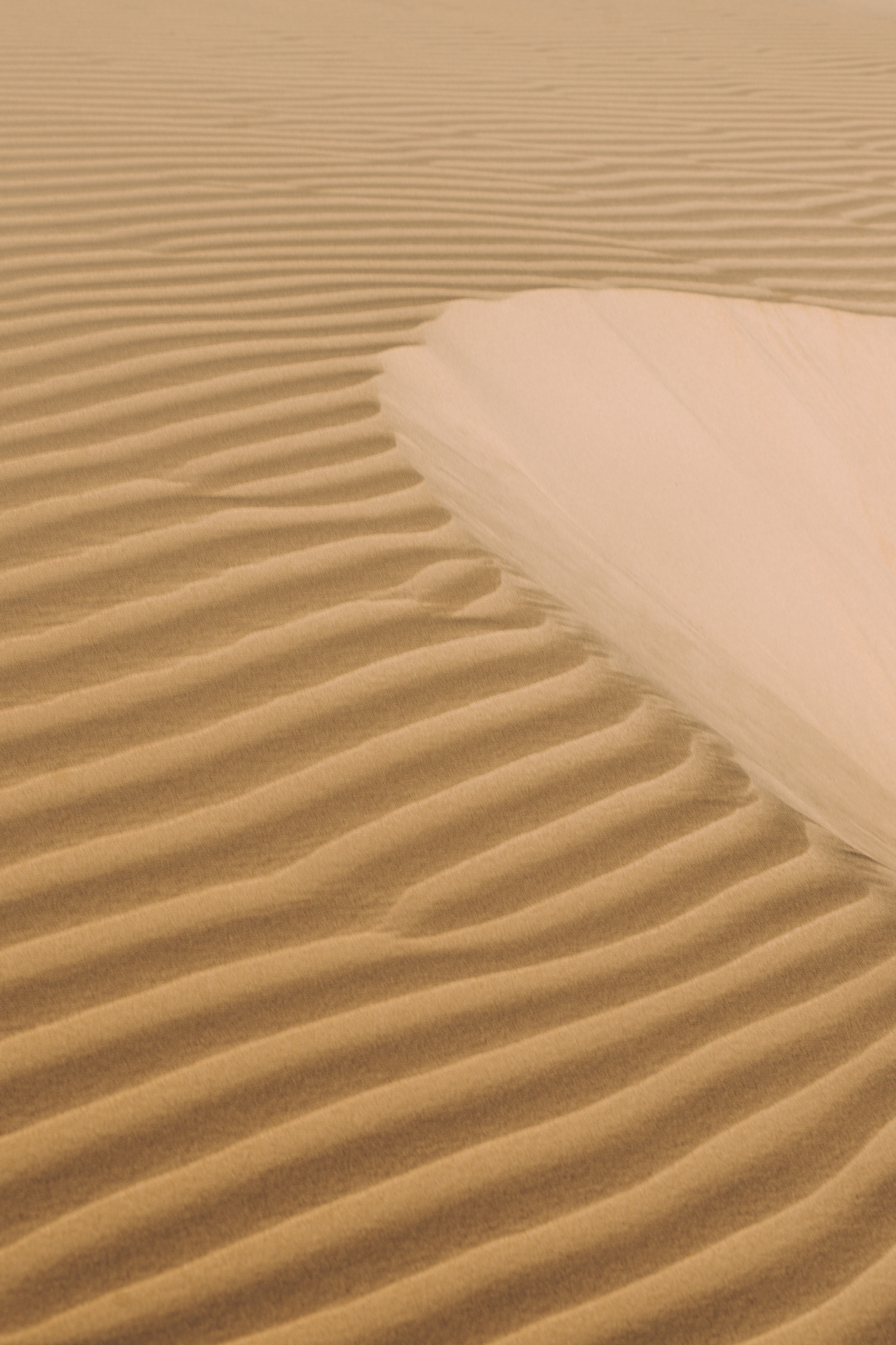 85066 télécharger l'image nature, ondulations, sable, désert, ondulé, dunes - fonds d'écran et économiseurs d'écran gratuits