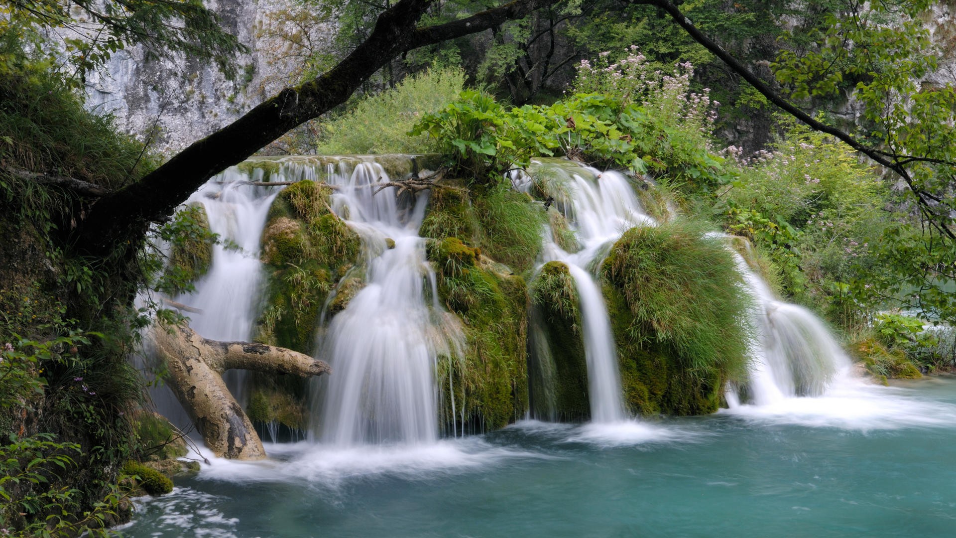 Free download wallpaper Waterfalls, Flower, Waterfall, Forest, Tree, Earth, Spring on your PC desktop