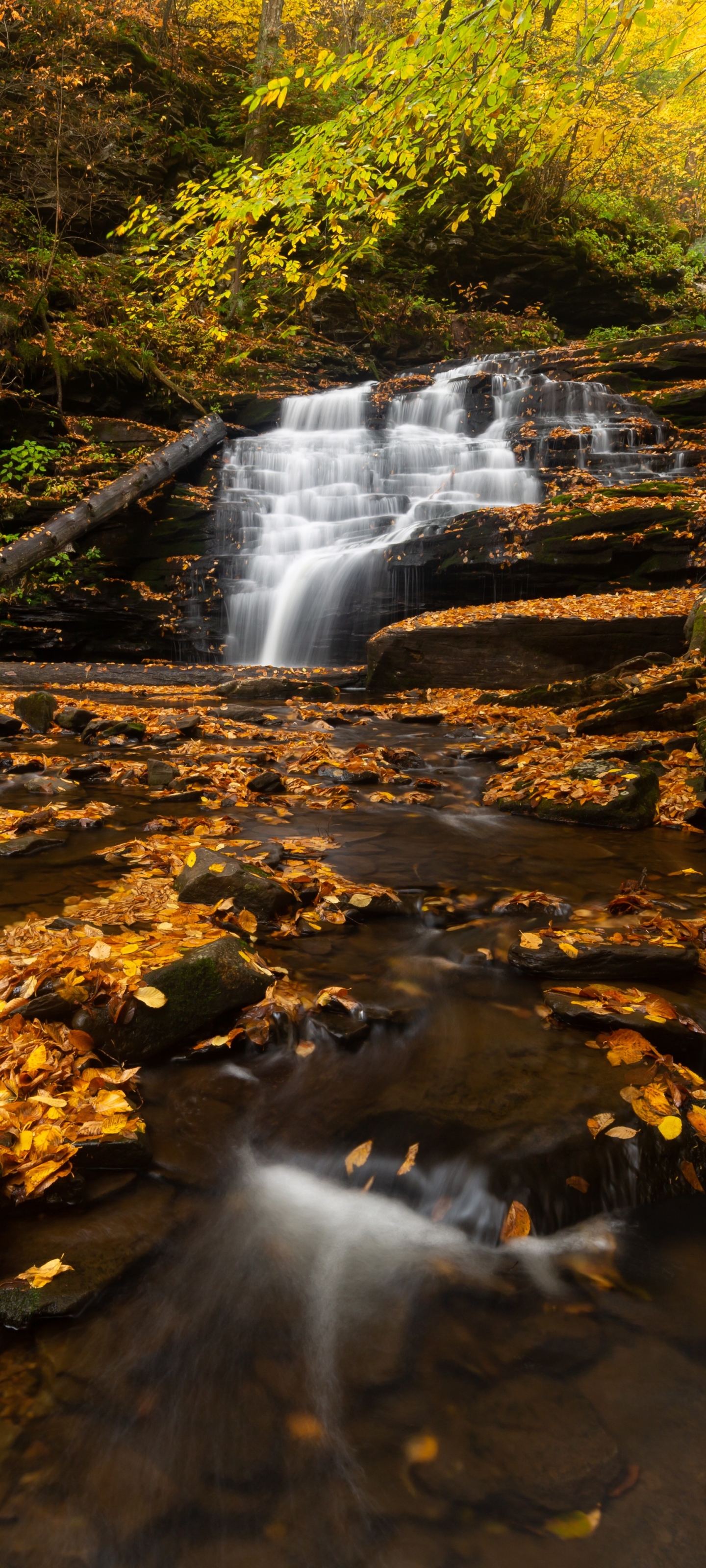 Download mobile wallpaper Waterfalls, Waterfall, Earth, Stone for free.